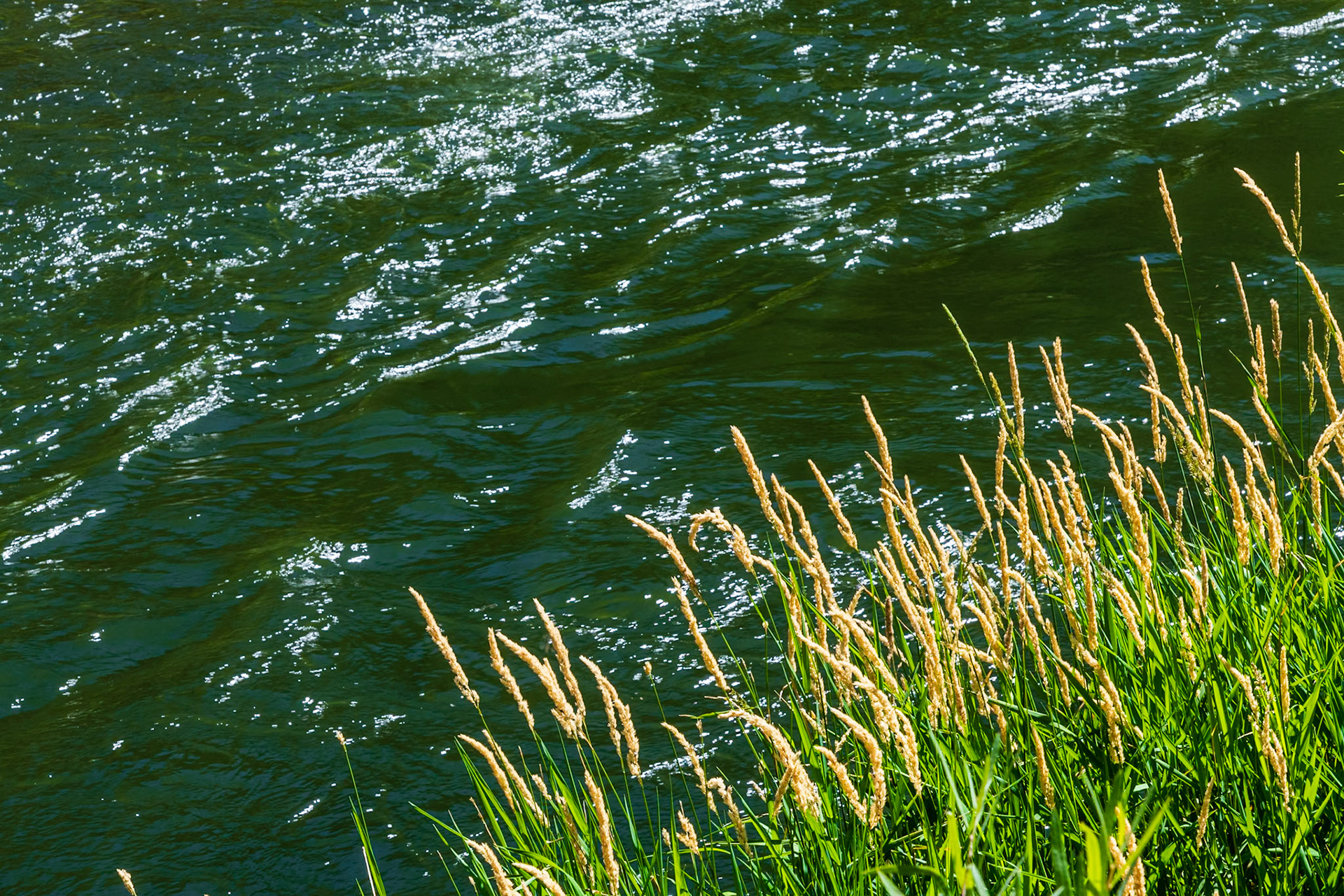 Gunnison River at Eas