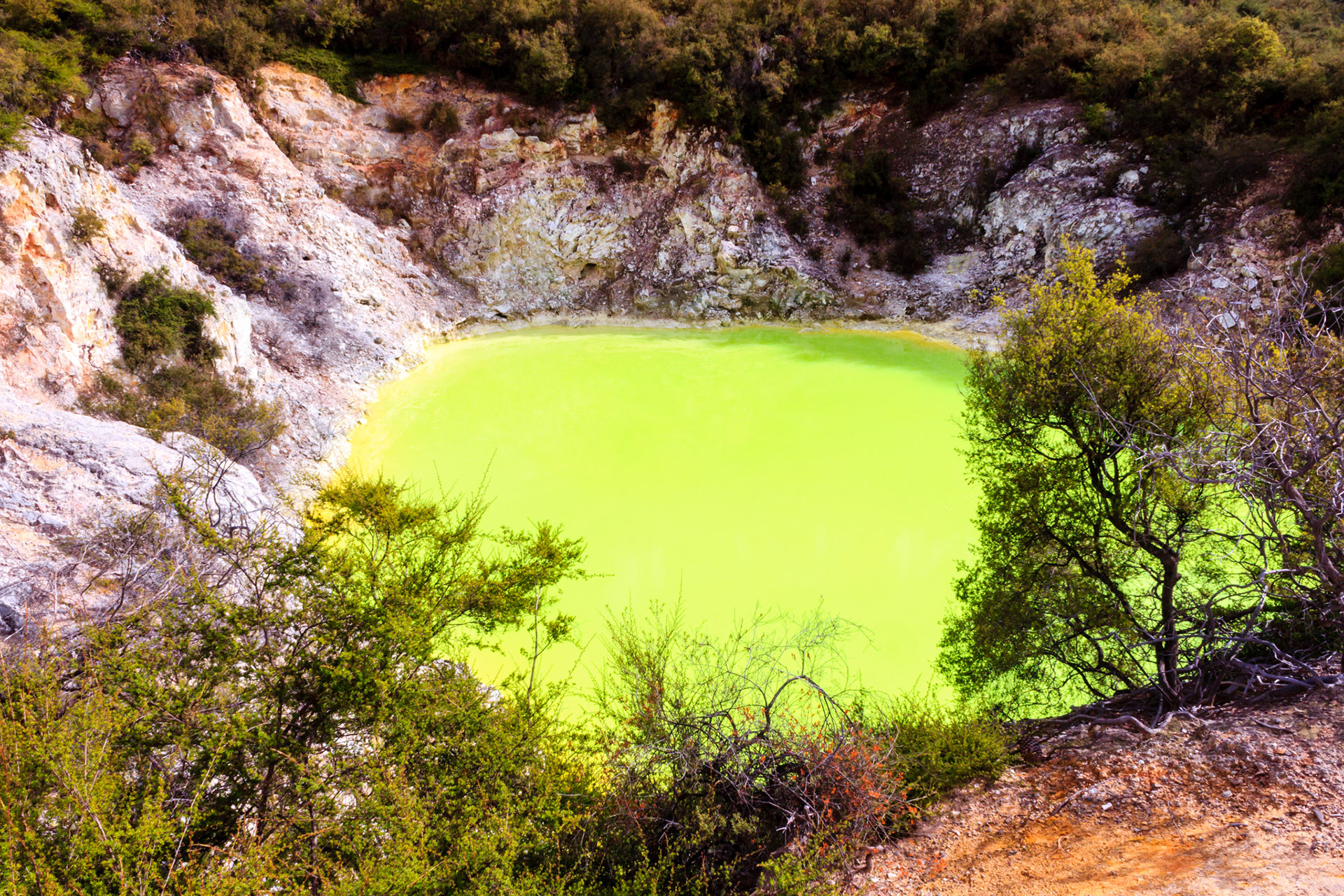 Wai-O-Tapu Thermal Wonderland.