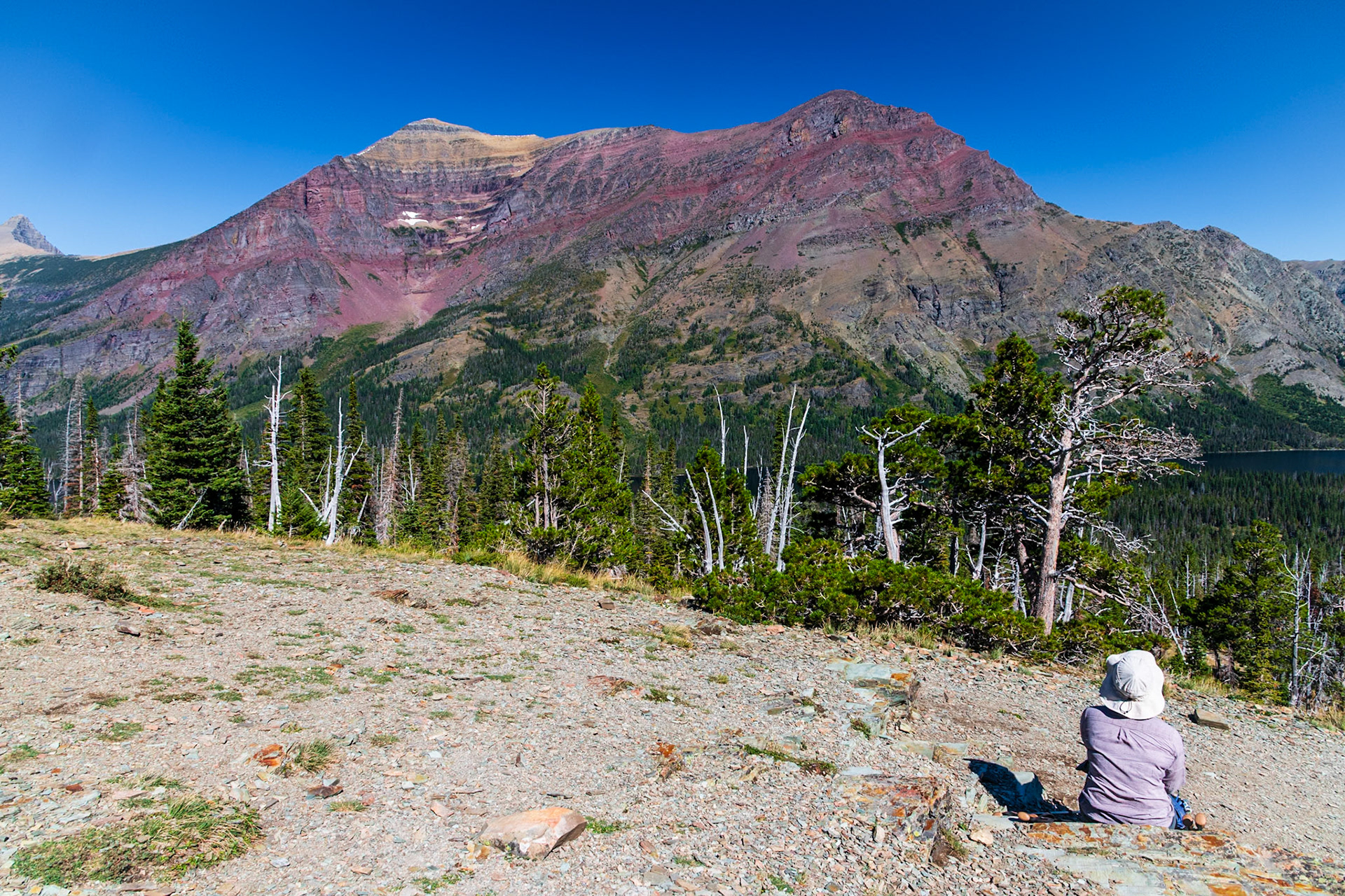 Rising Wolf Mountain from the top of the Aster Peak trail.