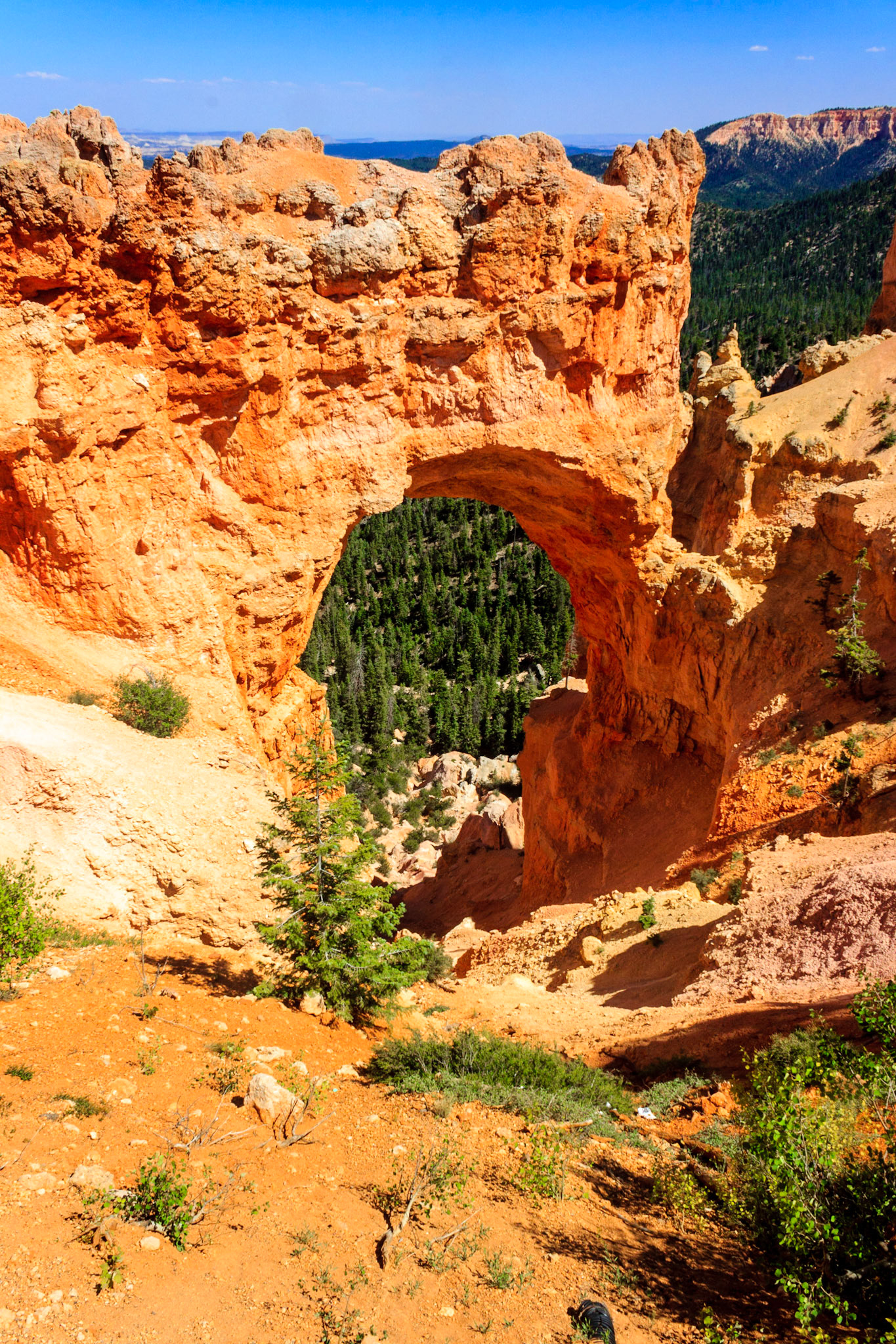 Natural Arch at Fairview Point