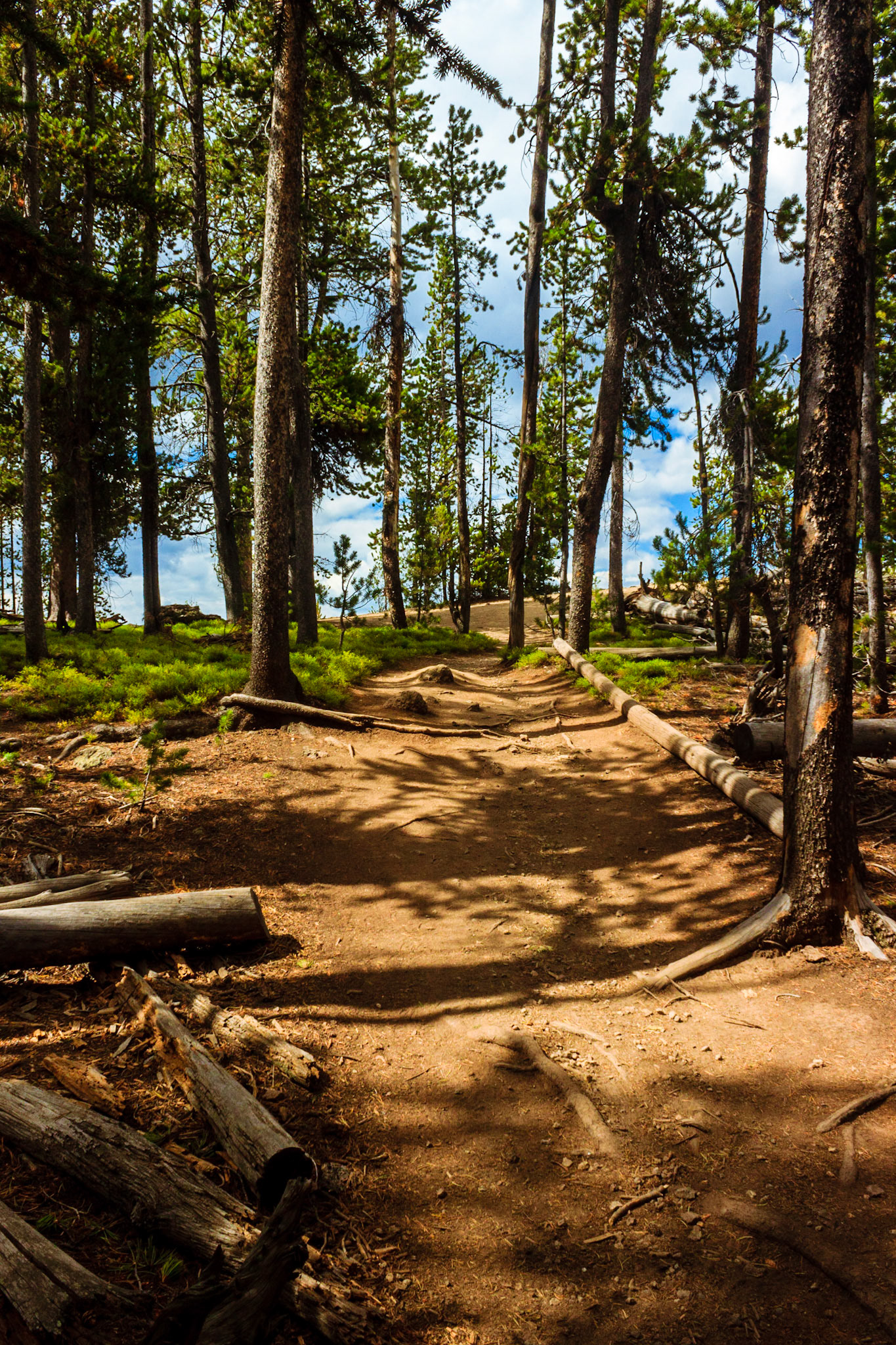 Point Sublime Trail