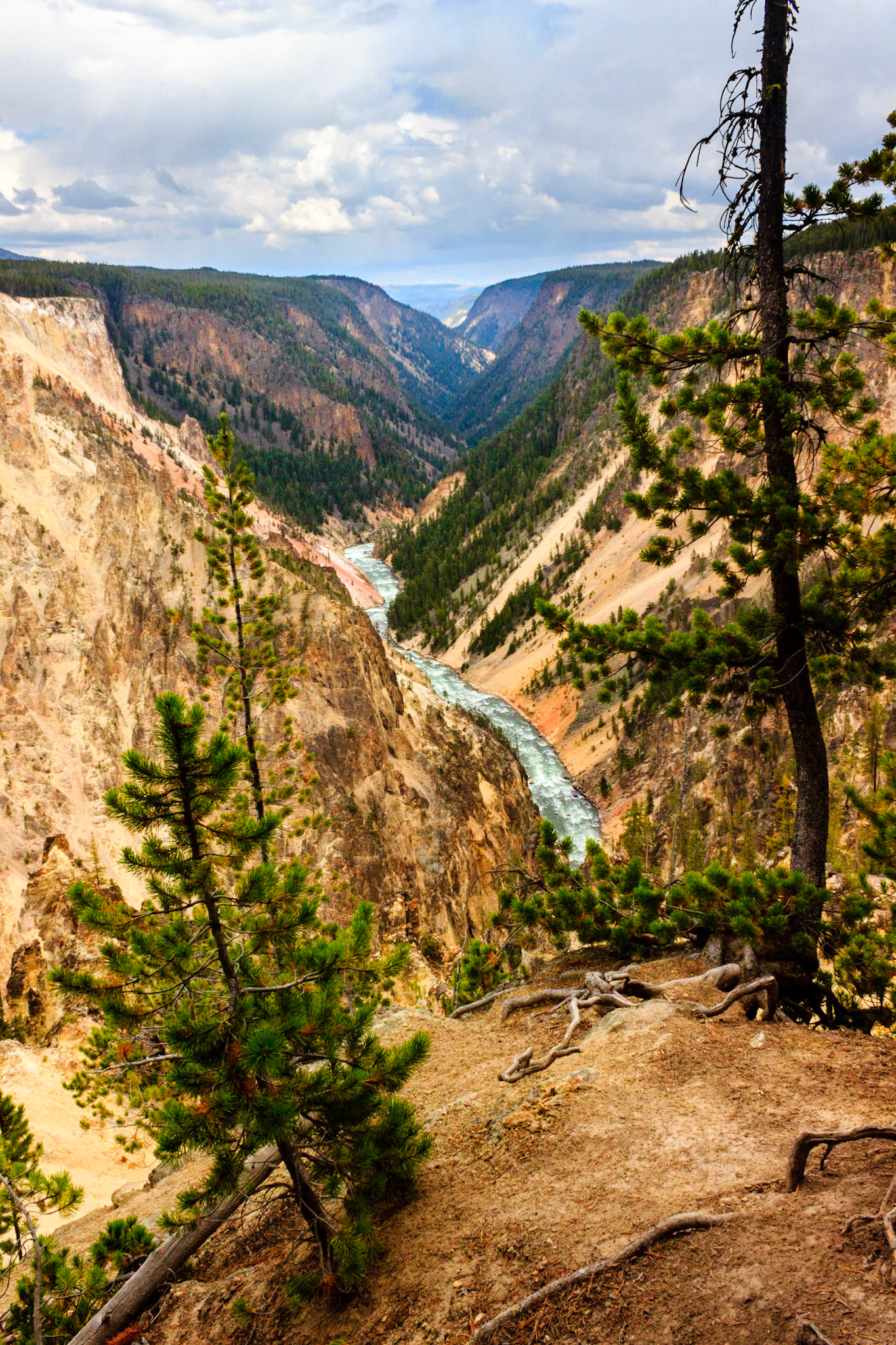 Grand Canyon of the Yellowstone from Point Sublime