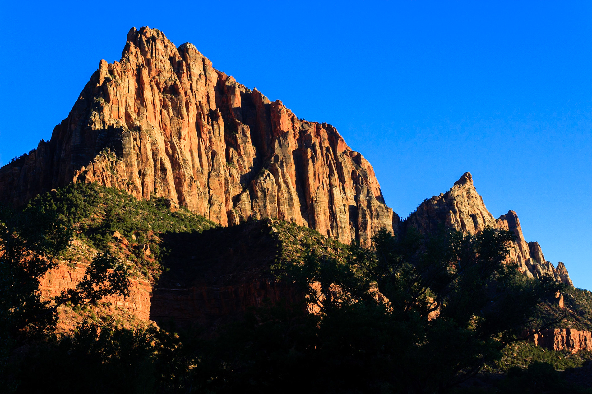 The Watchman