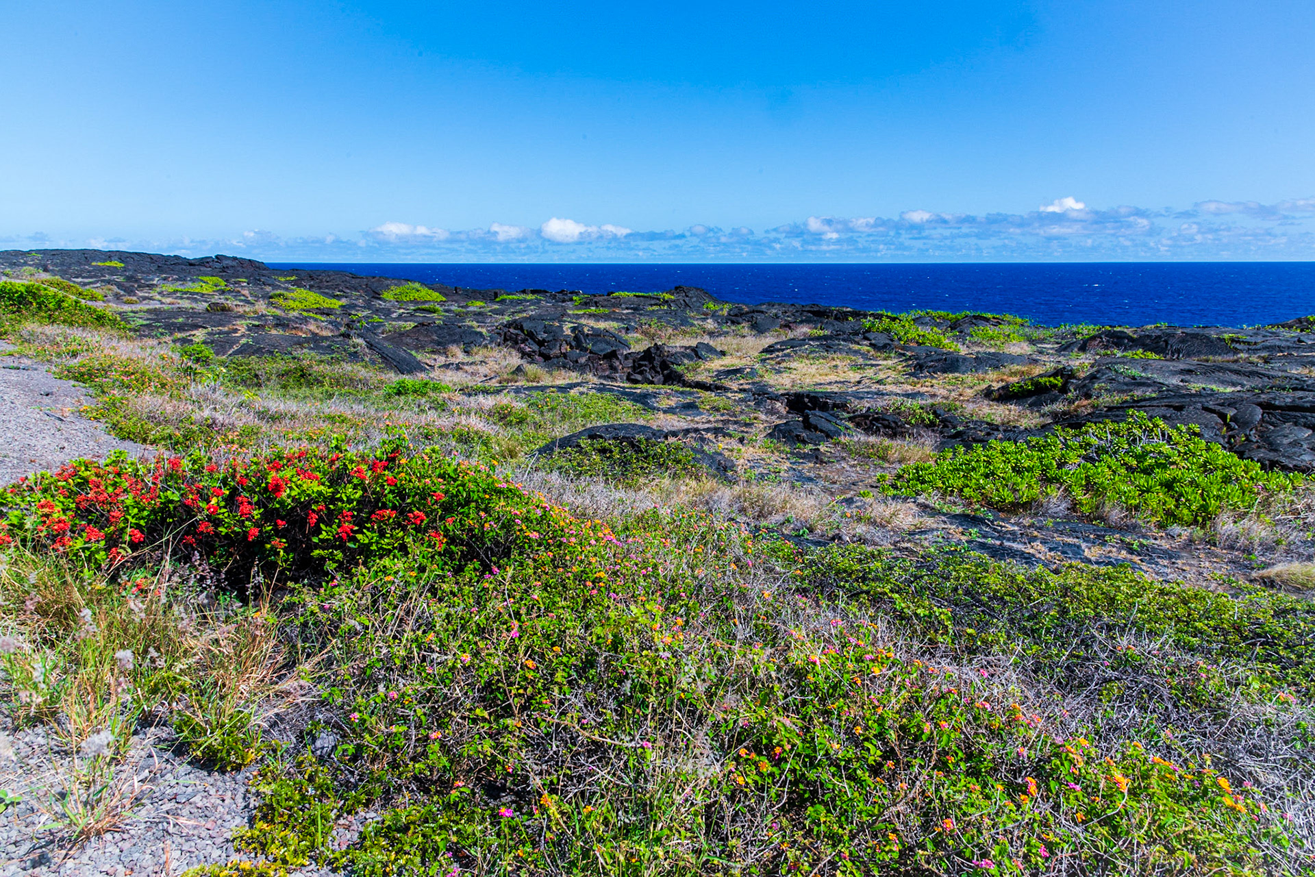 Near Holei Sea Arch