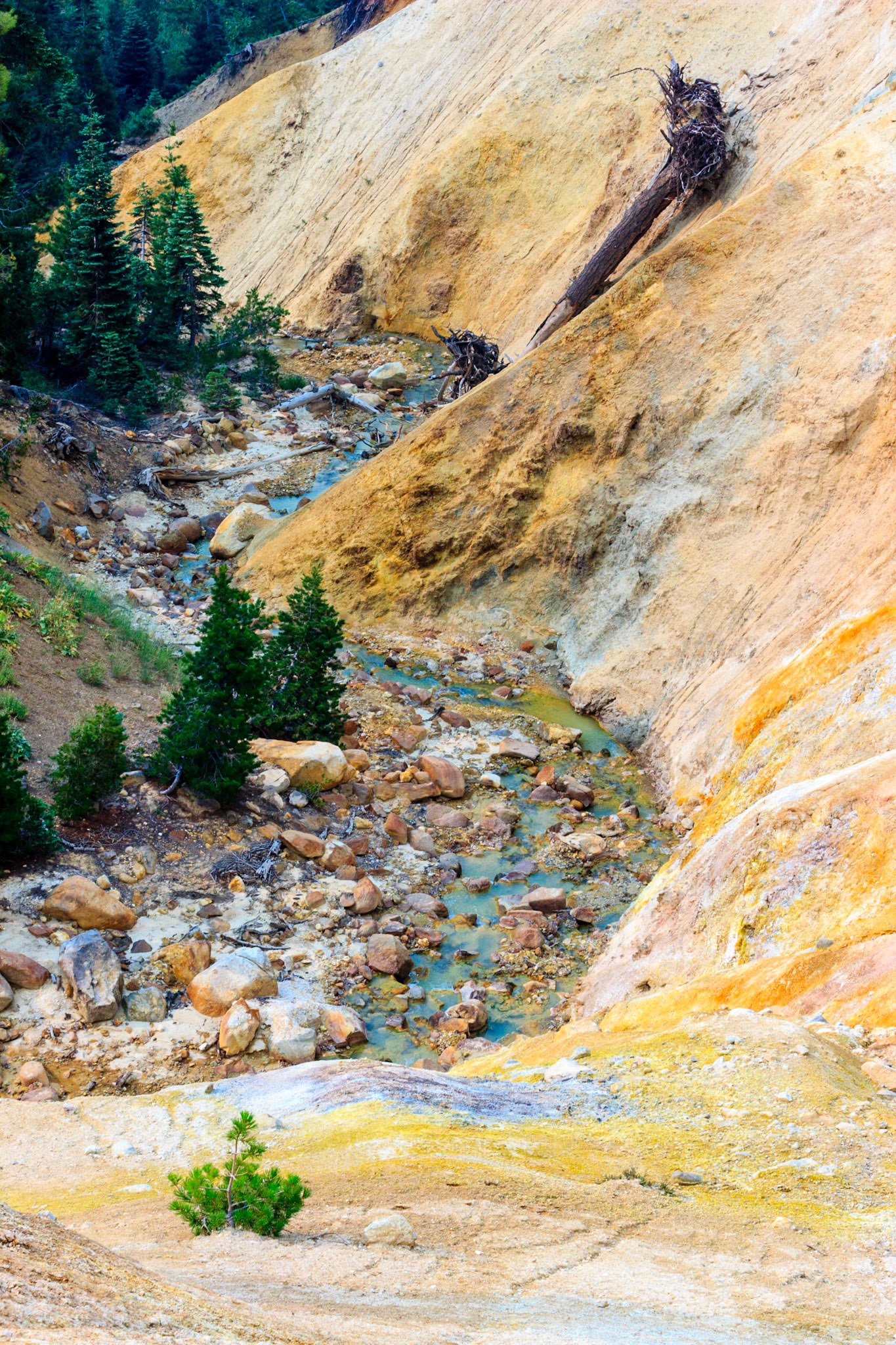 Sulfur Works Geothermal Area