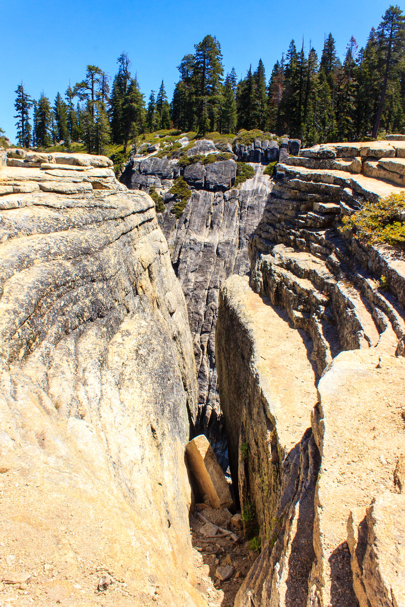 Taft Point