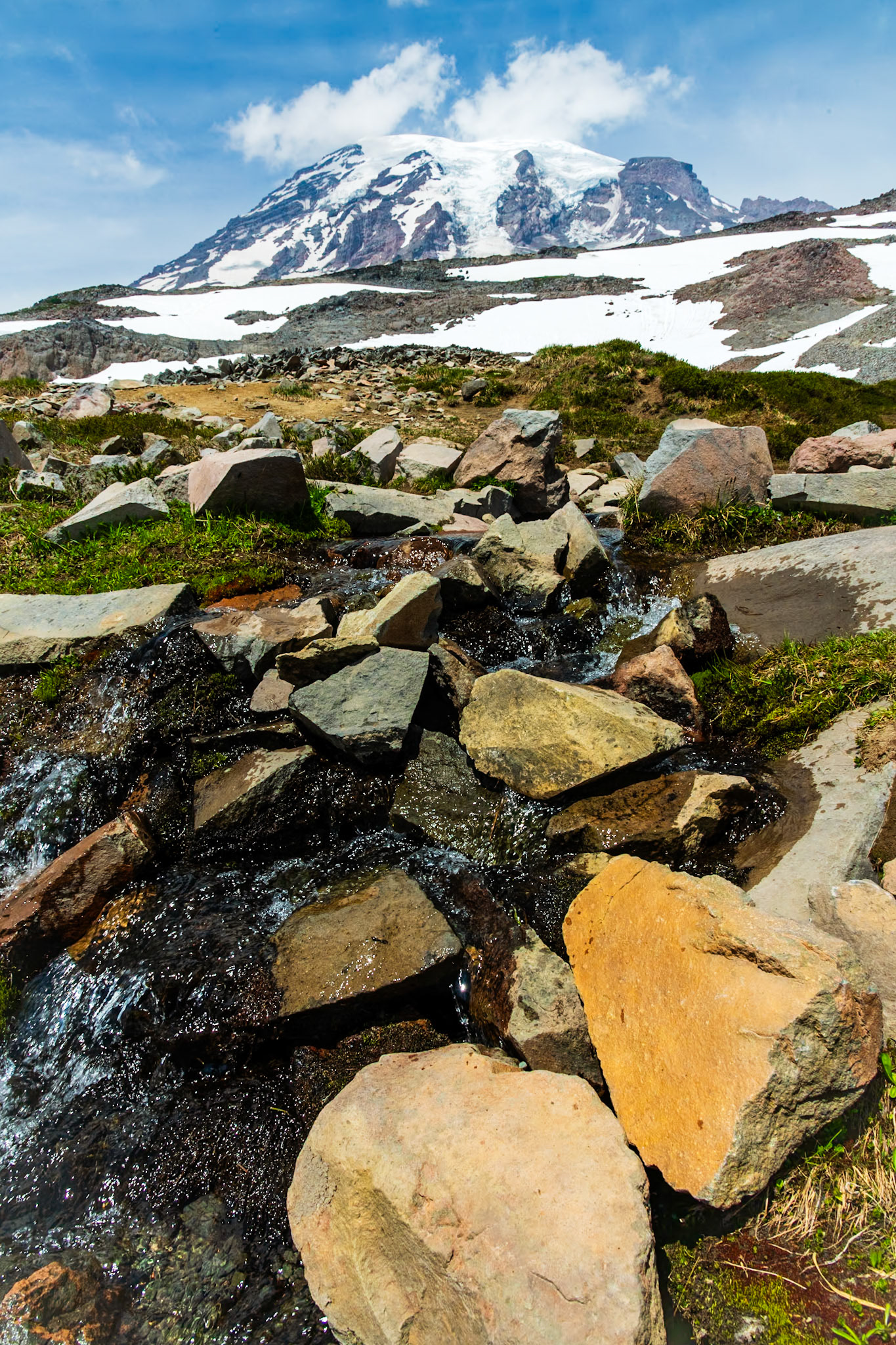 Mount Rainier from Skyline Trail