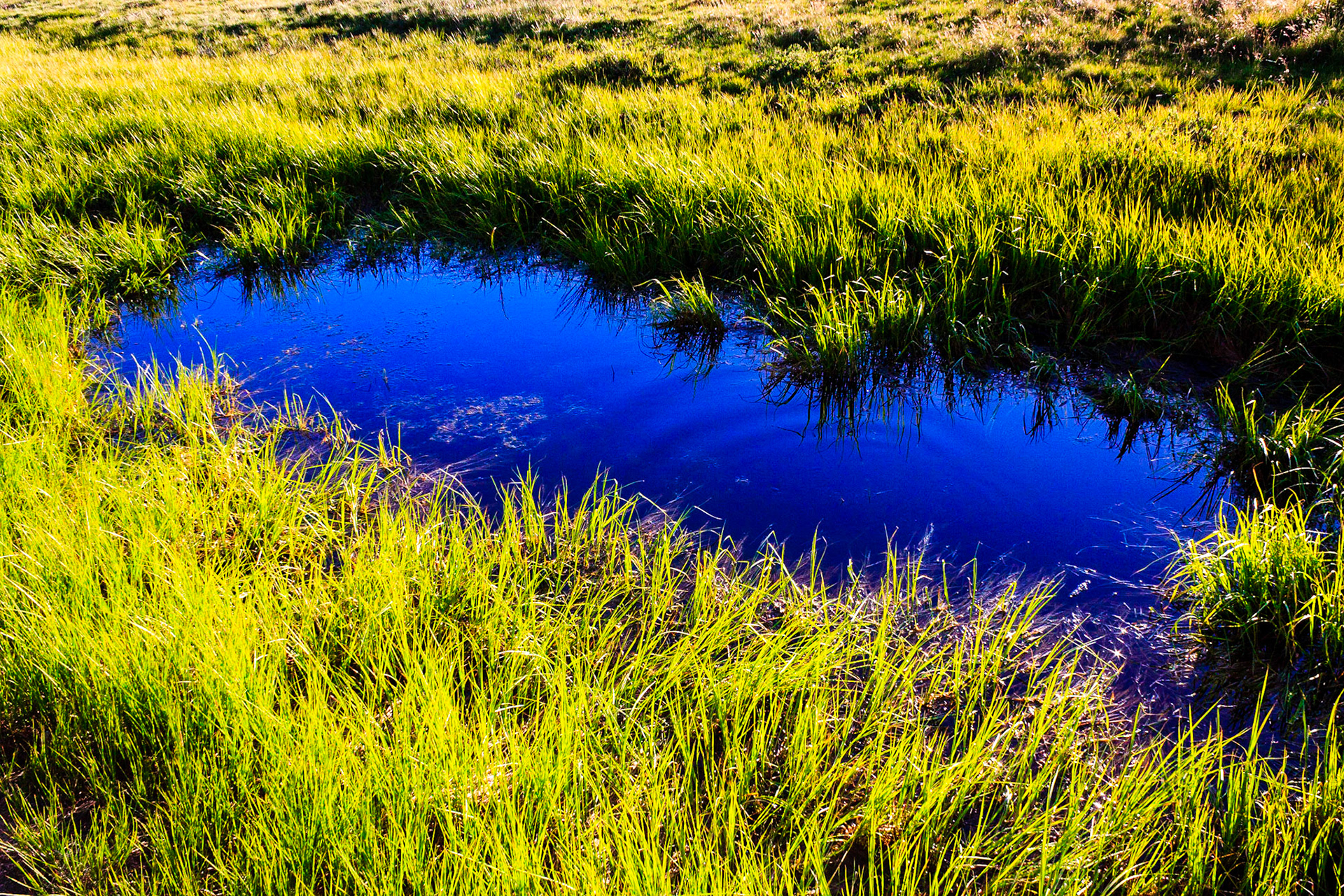 Tuolumne Meadows
