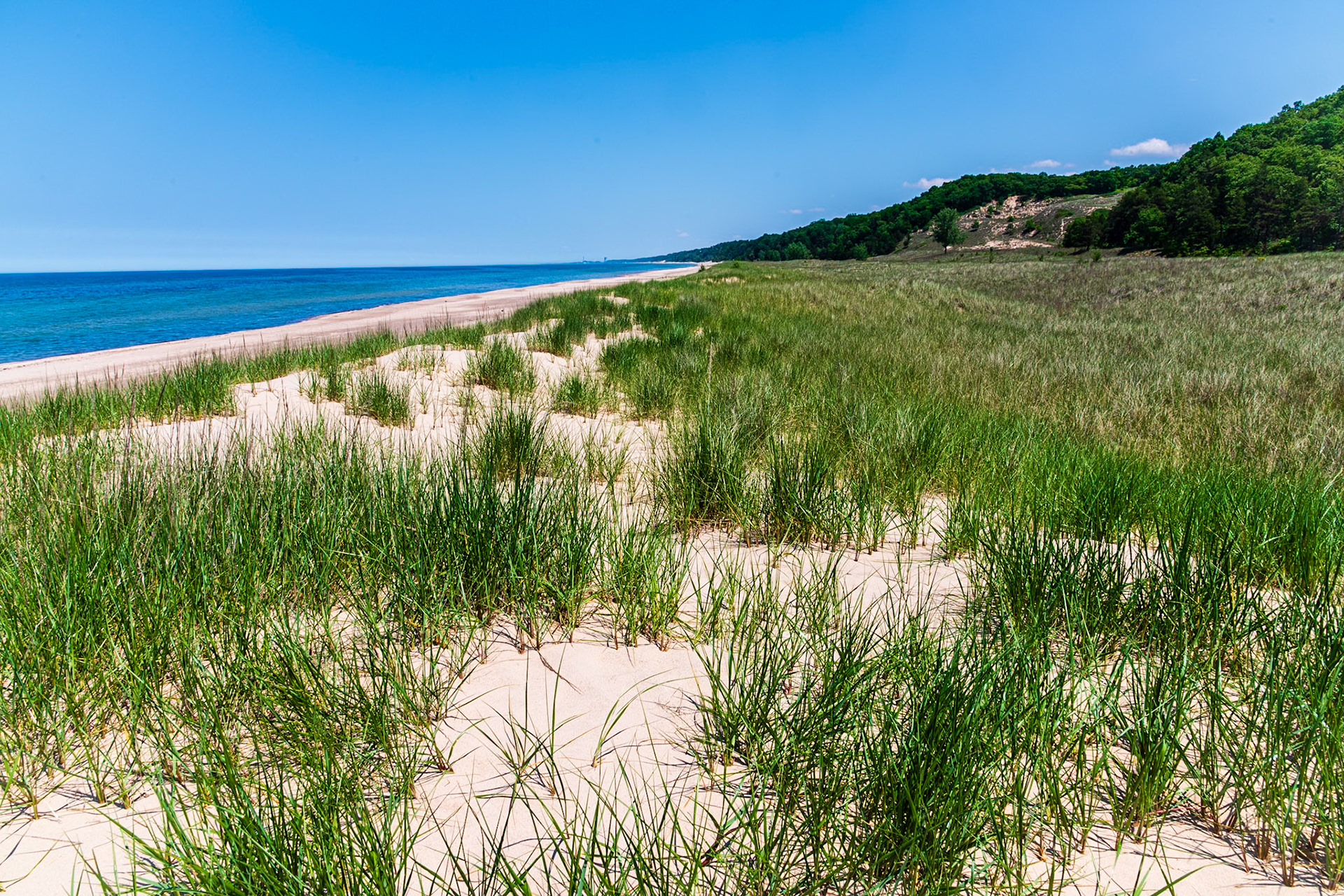 Dunes on Lake Michigan.