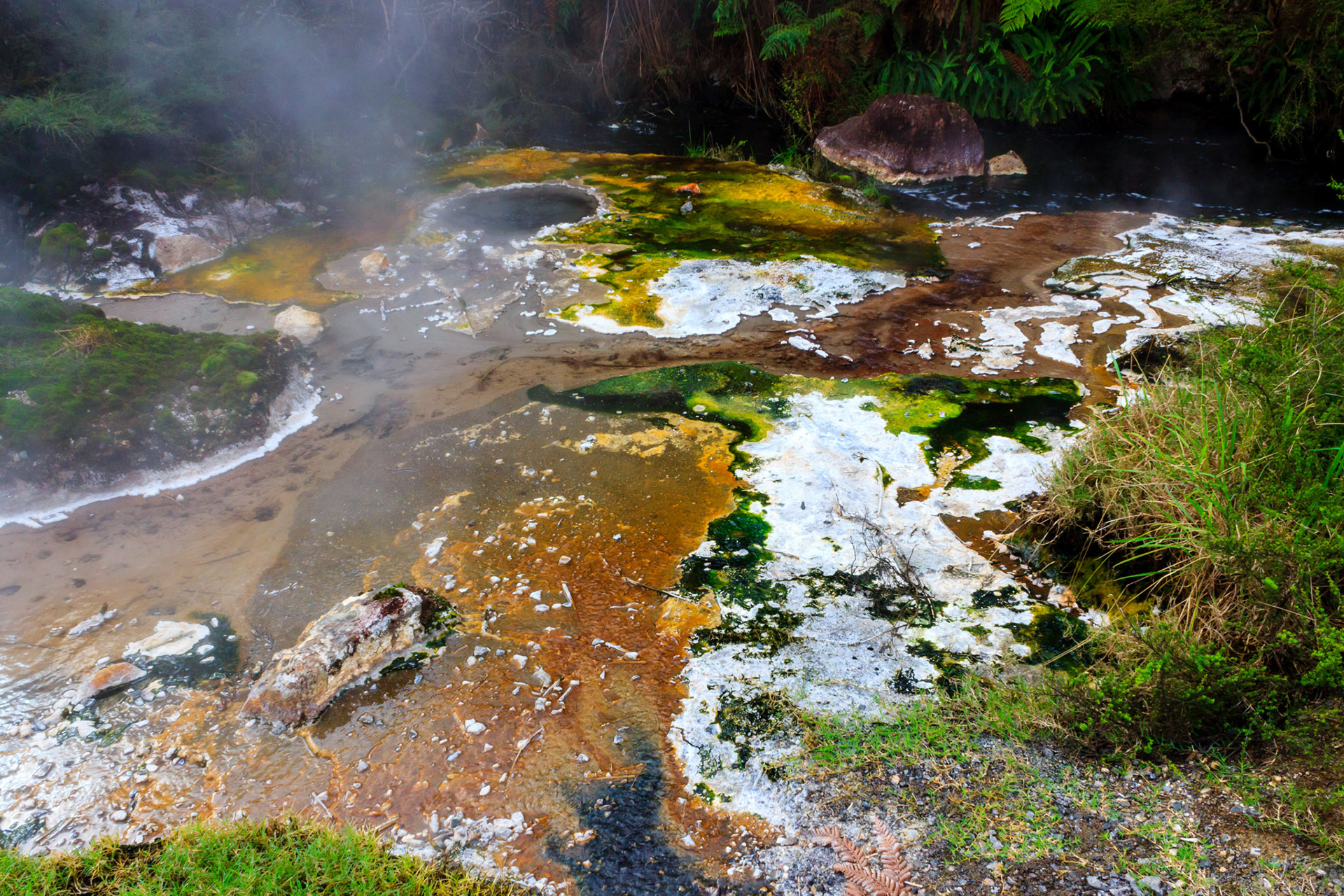 Waimangu Volcanic Valley.