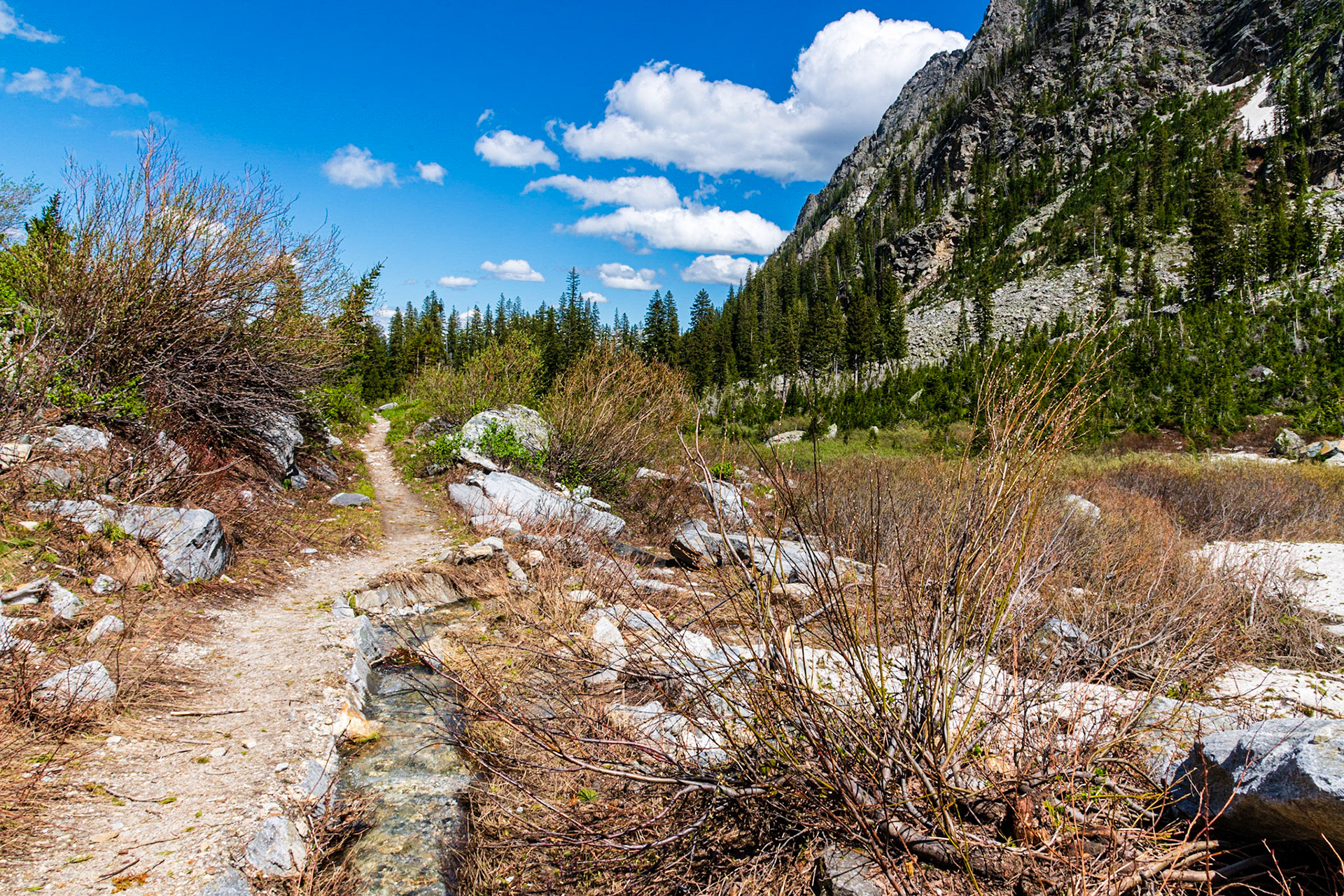 Paintbrush Canyon
