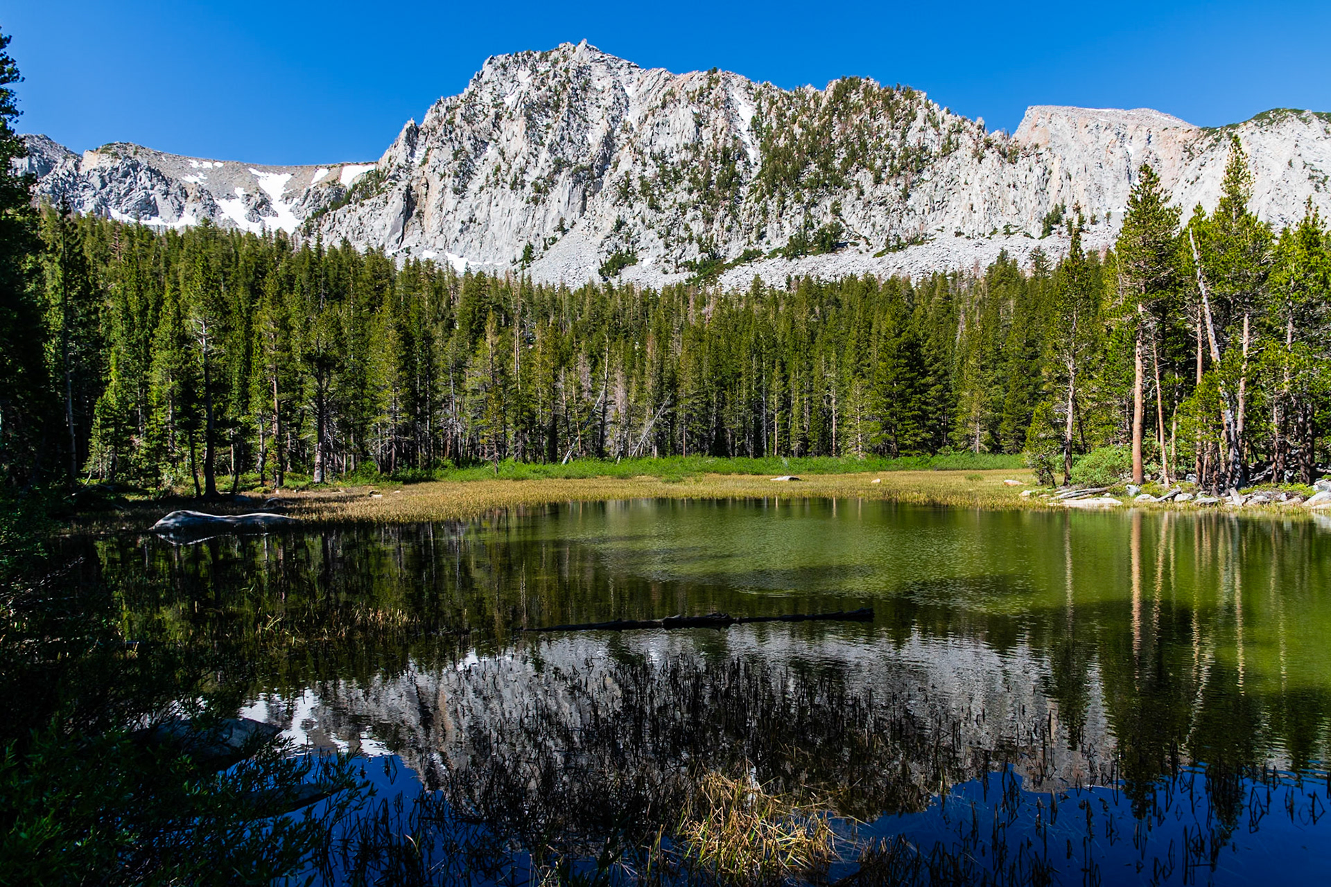 Shallow area of Sherwin Creek, with Herlihy Peak in the background.