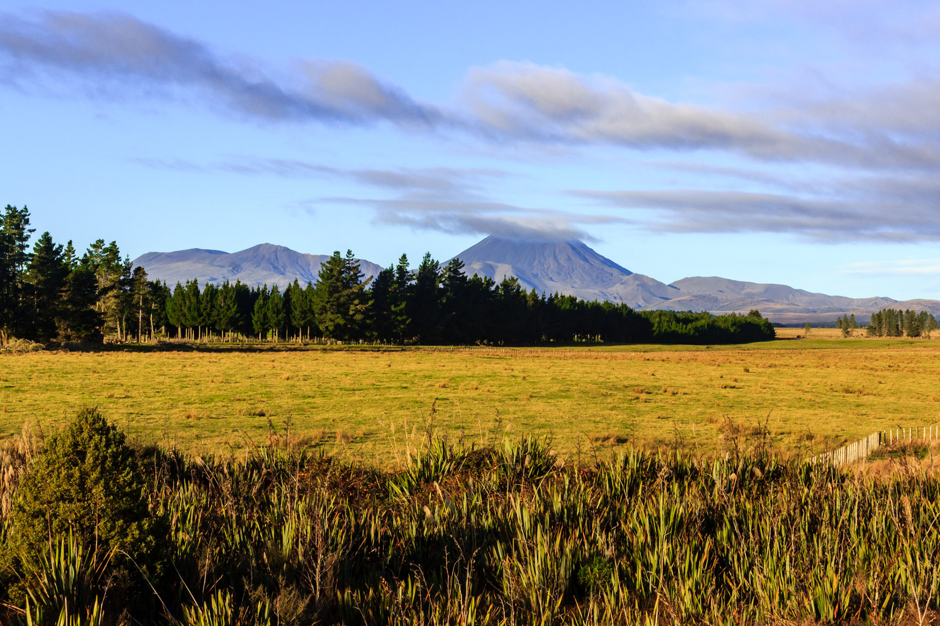 Mount Ngauruhoe in the center and Tongariro on the left.