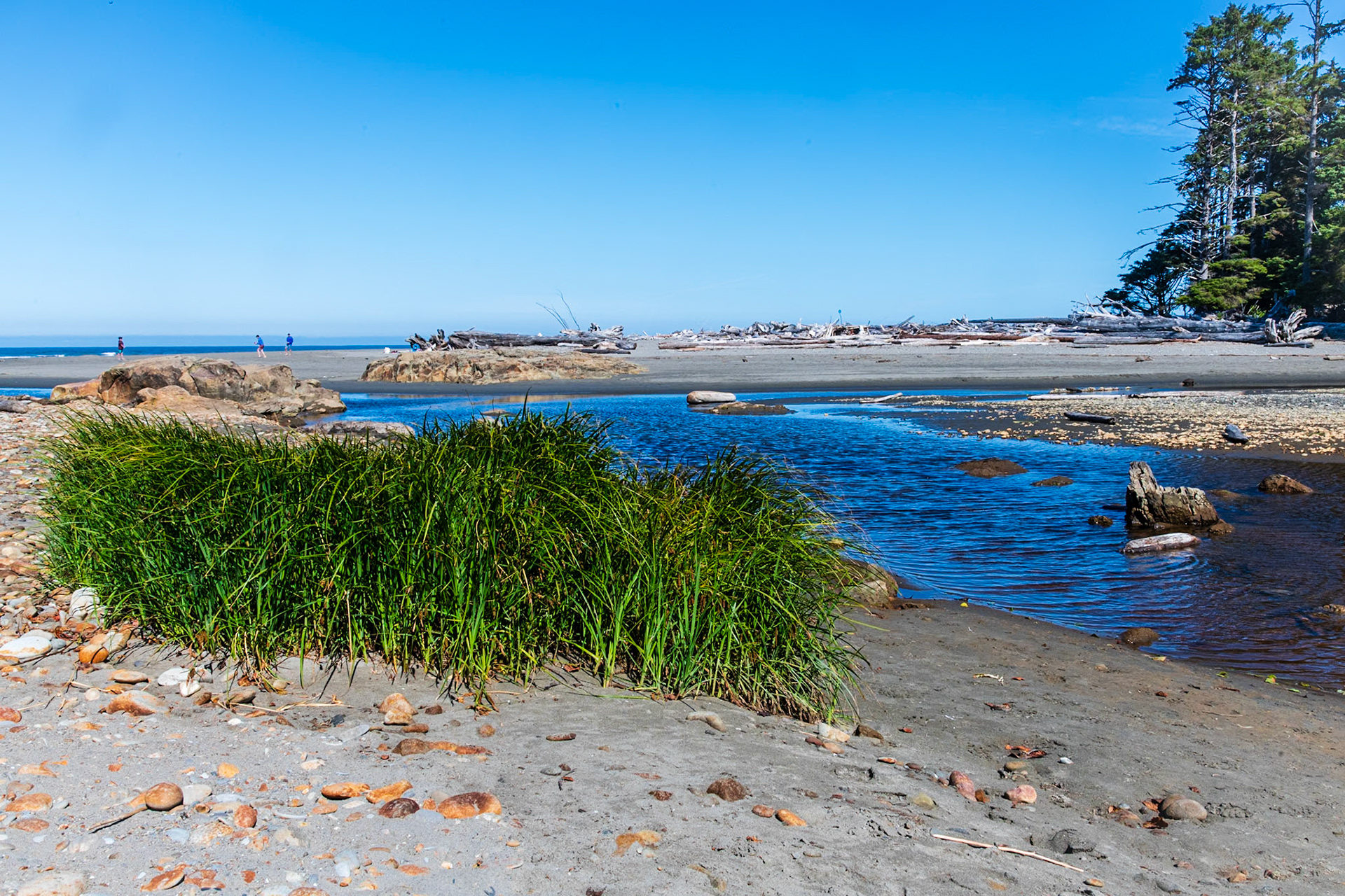 Kalaloch Creek at Kalaloch Beach