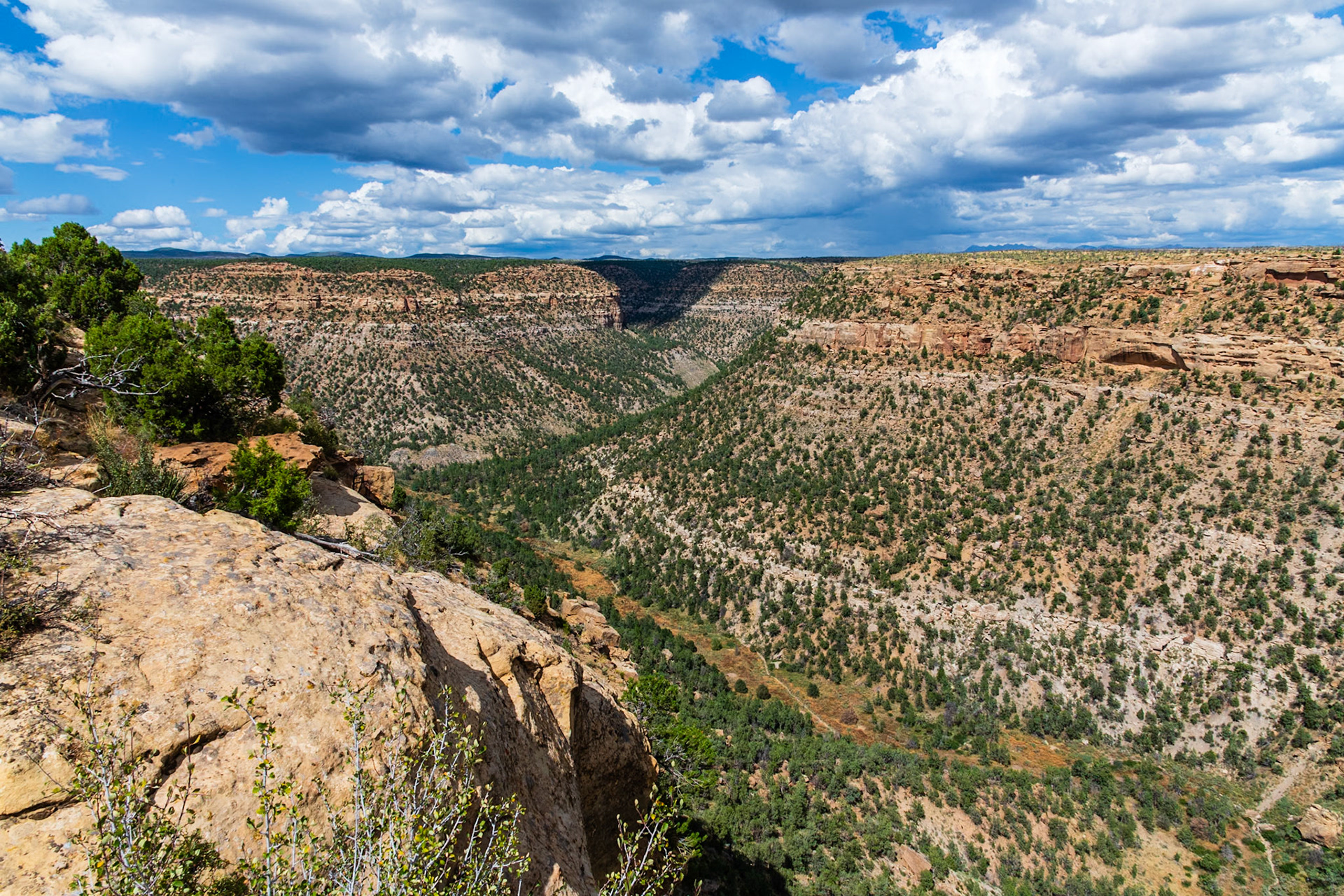 View looking North from Soda Canyon Overlook.