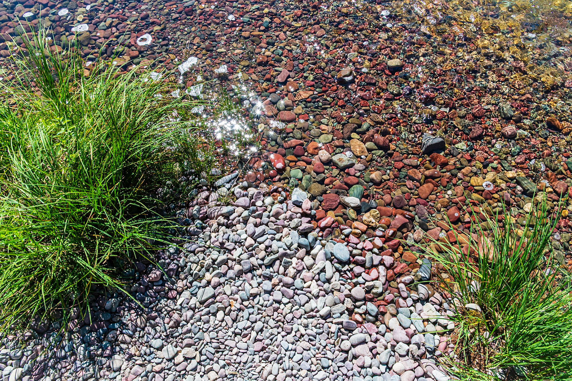 Edge of McDonald Creek.