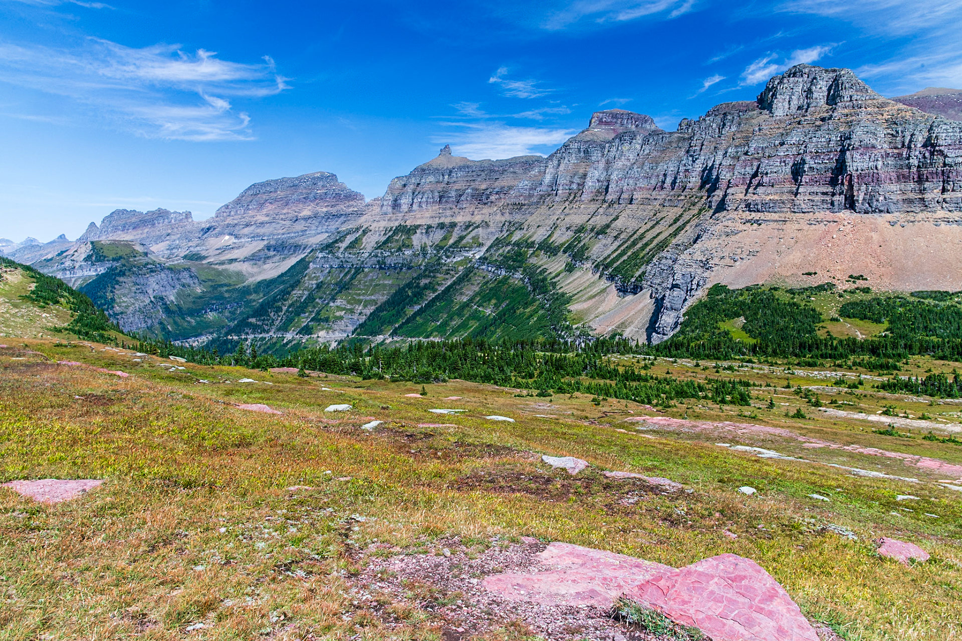 Western side of Logan Pass, including the Highline Trail.