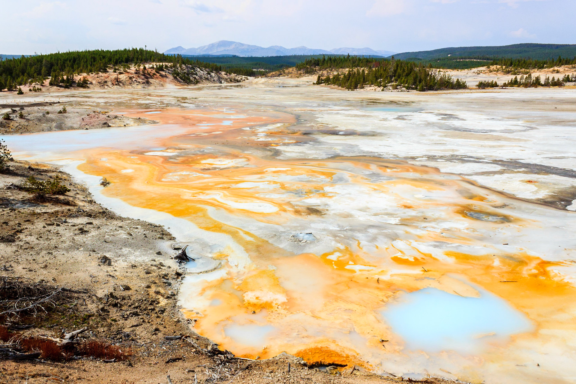 Norris Geyser Basin