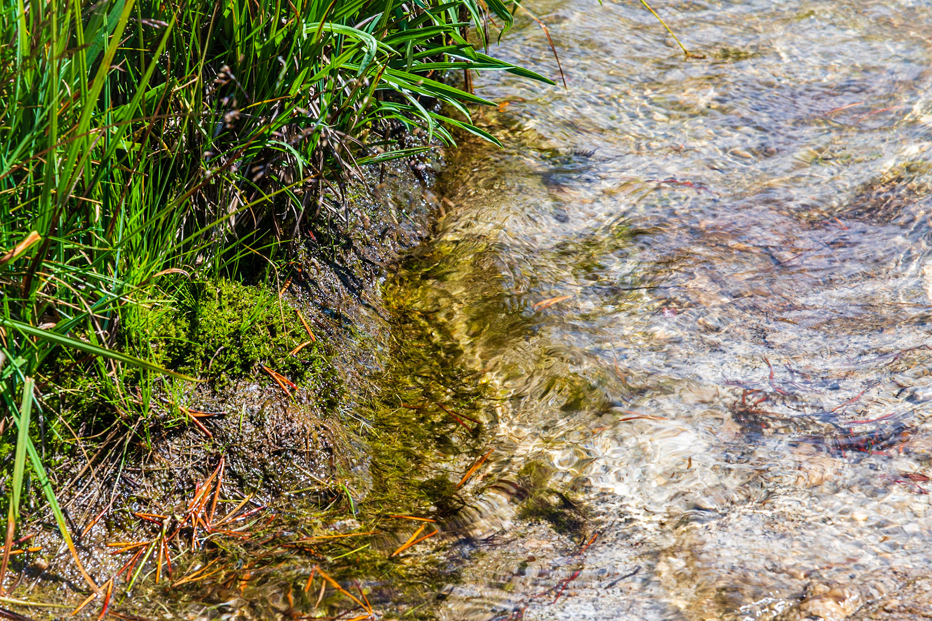 Lower Cathedral Lake