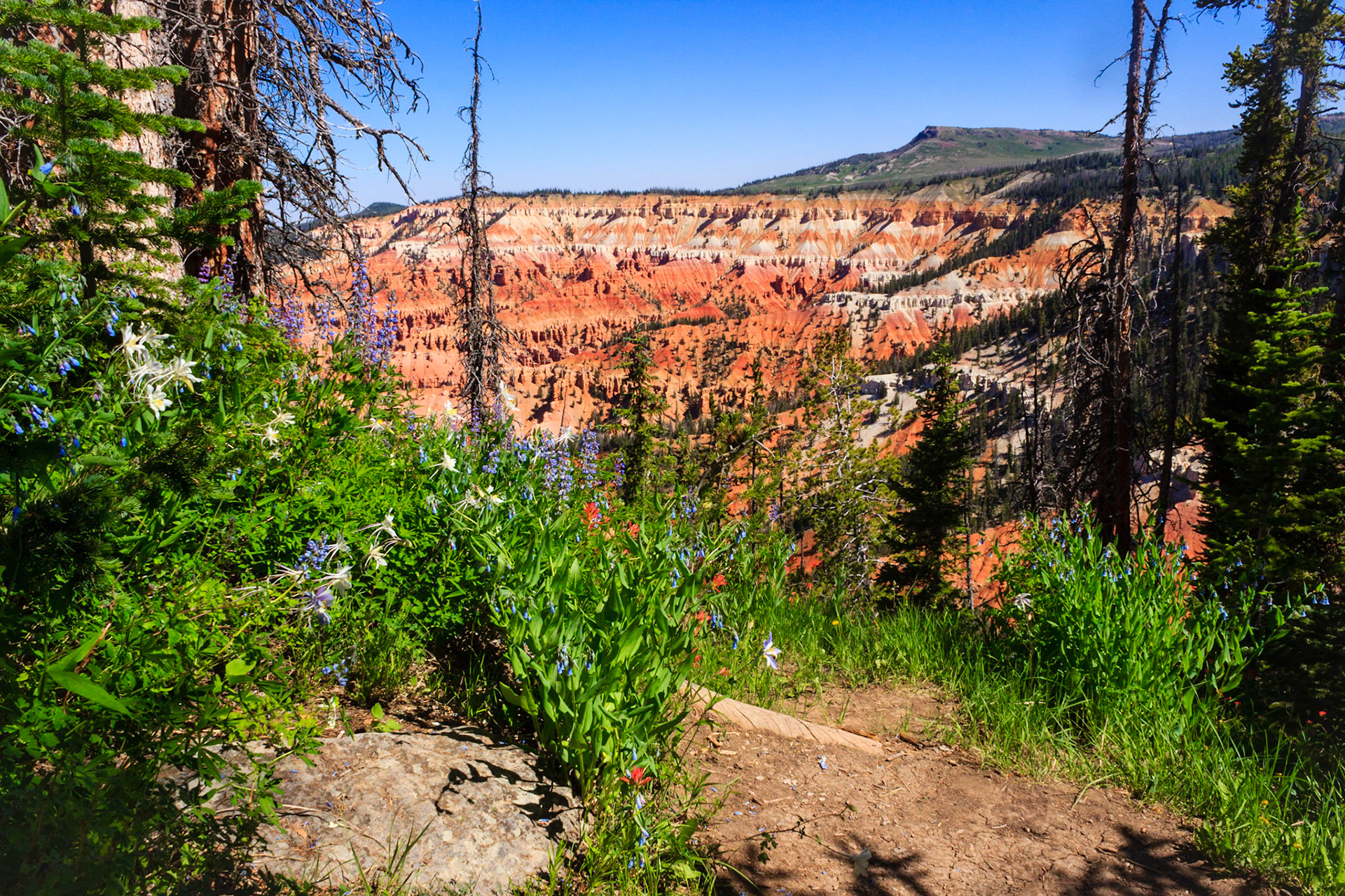 Near Chessman Ridge Overlook