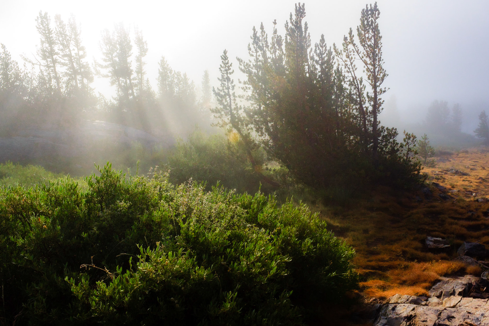 Sun and Fog