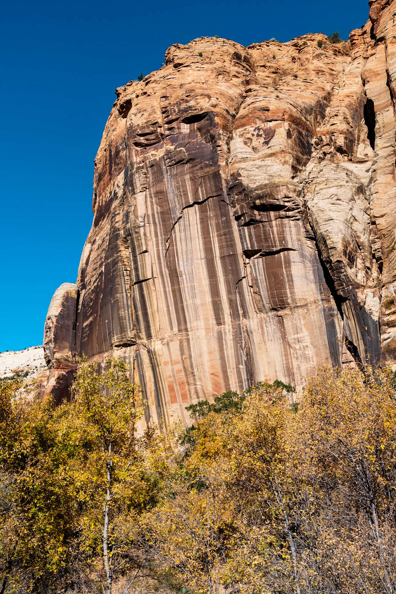 Lower Calf Creek Canyon