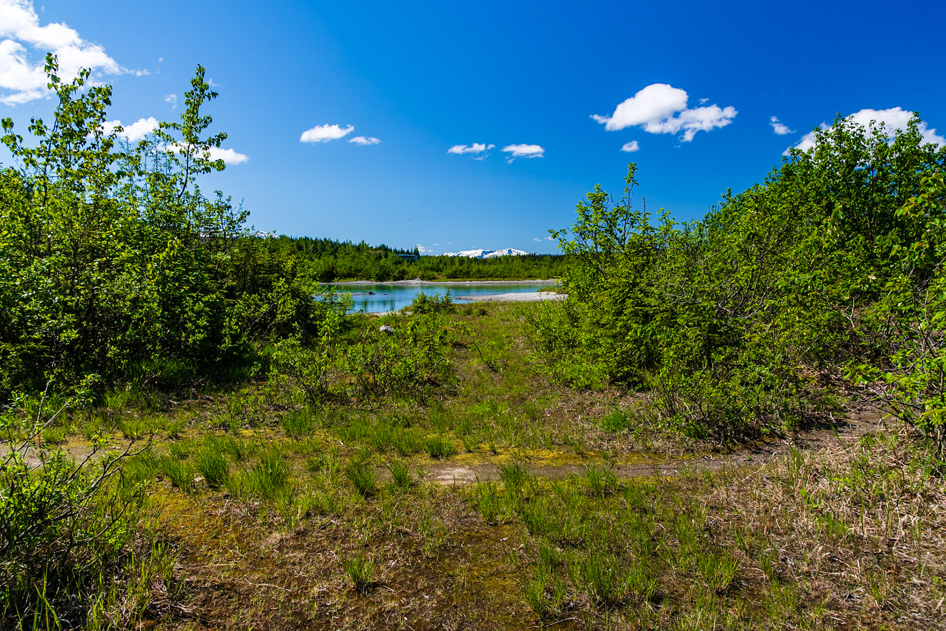 Mendenhall Lake.