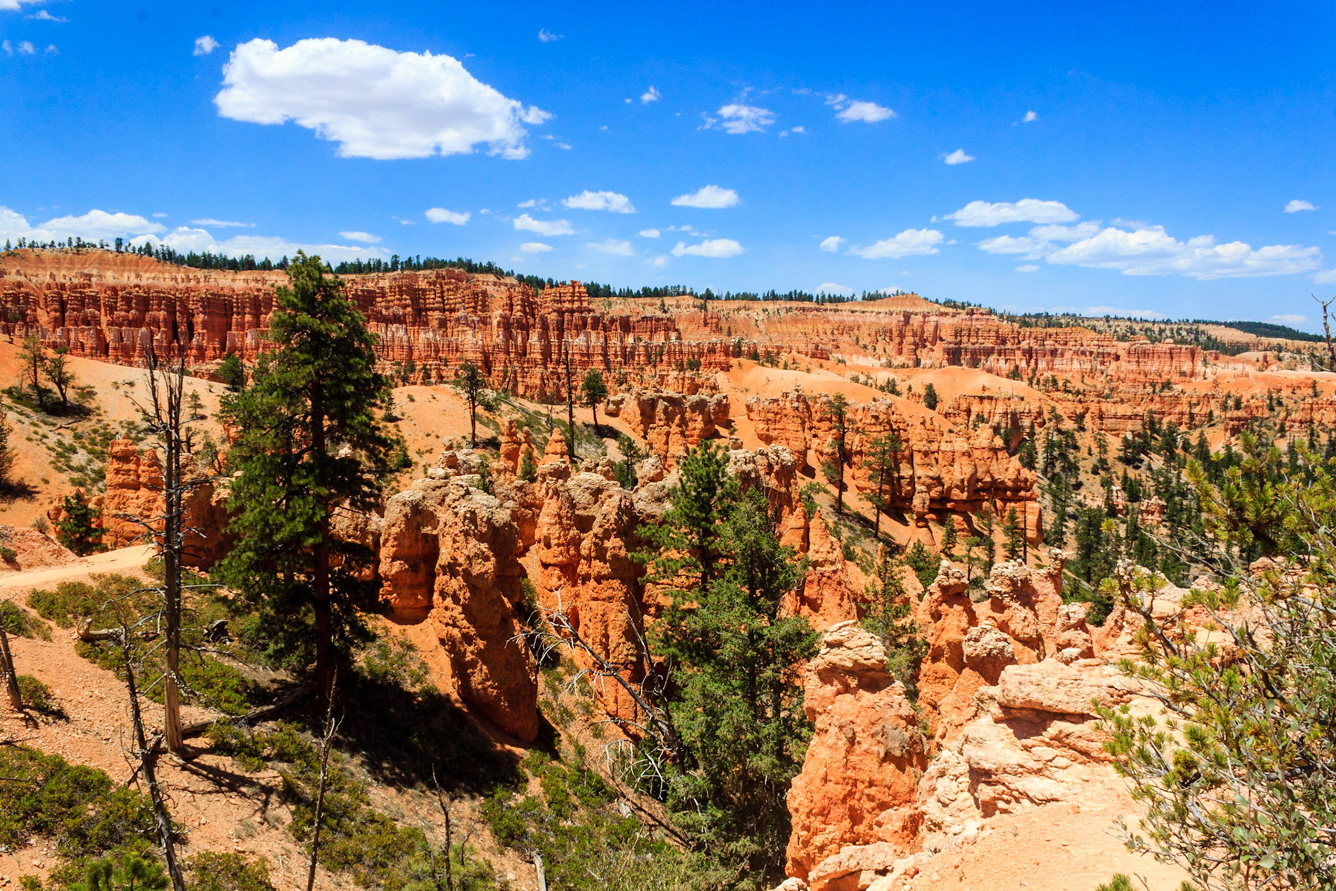 Bryce Ampitheater