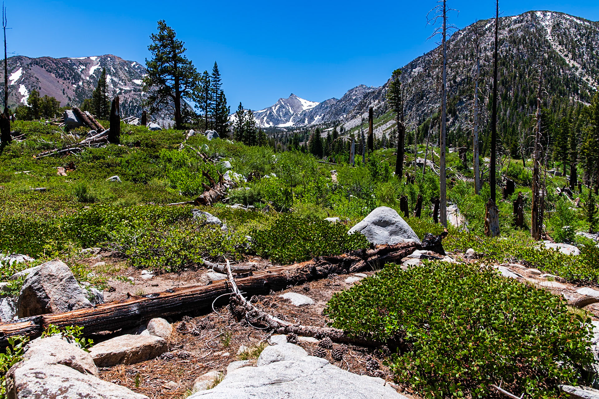 Looking up into the lake basin from the trail.