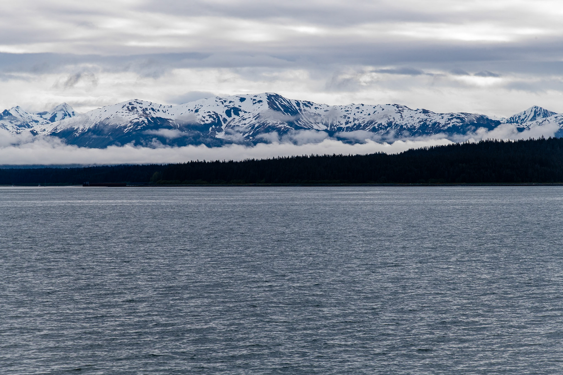Looking towards the mountainous part of the park.