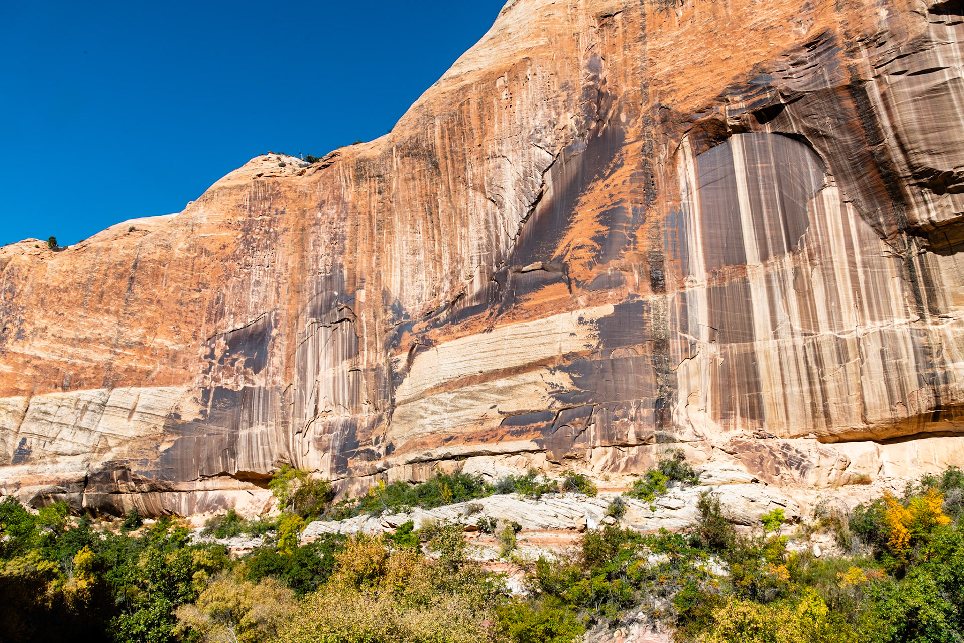 Lower Calf Creek Canyon