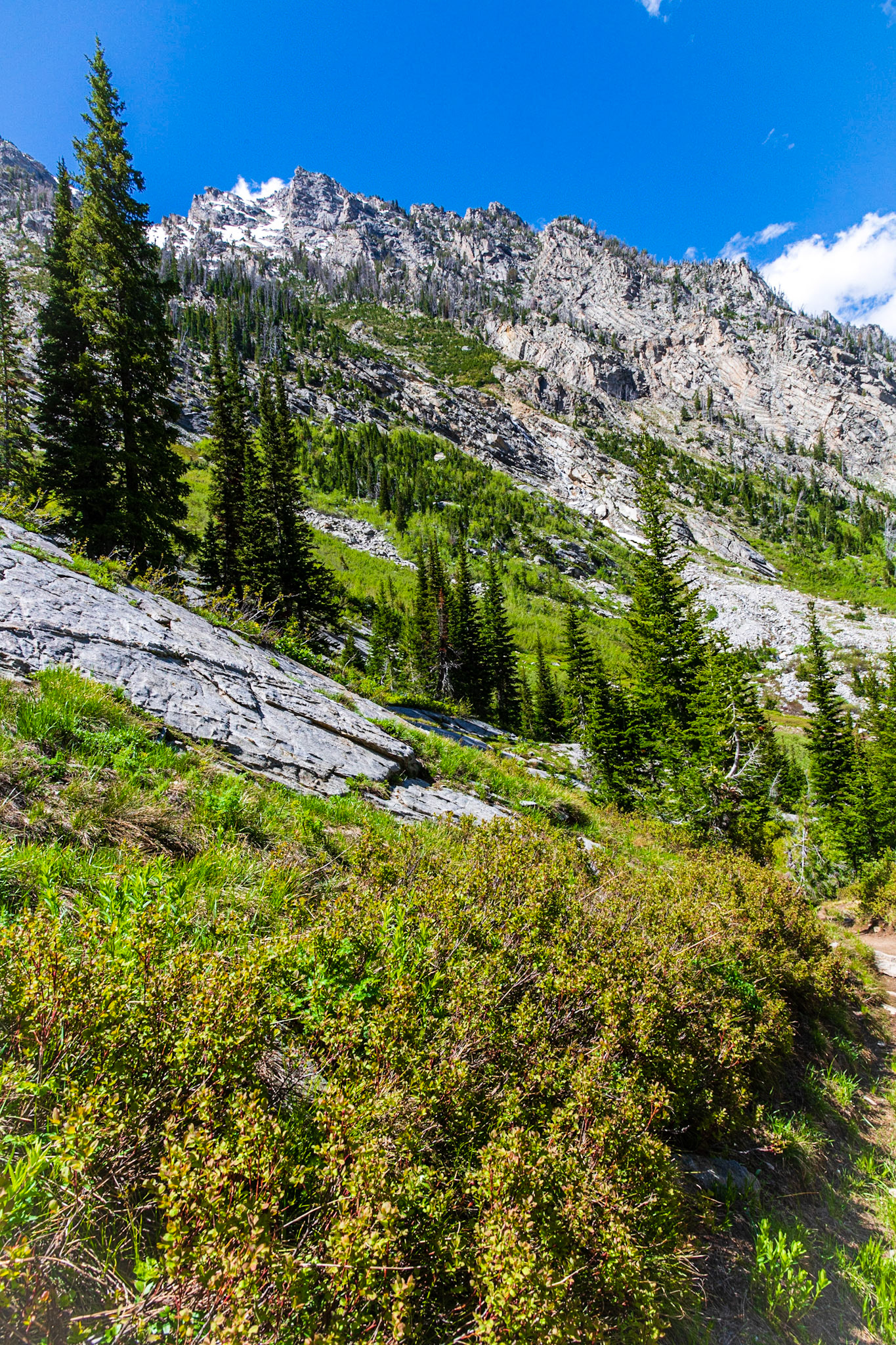 Paintbrush Canyon