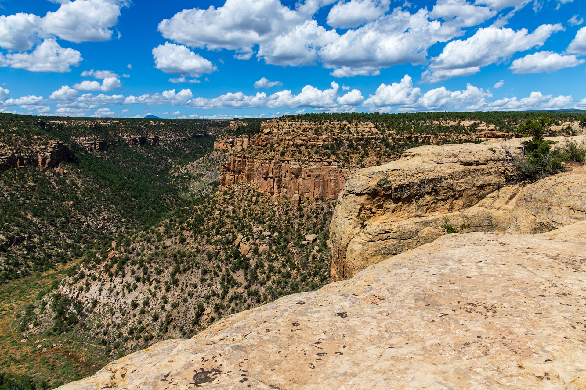 View of Spruce Canyon from the Petroglyph Trail.