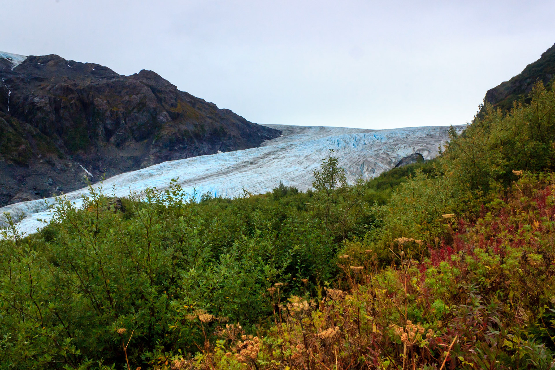 Exit Glacier