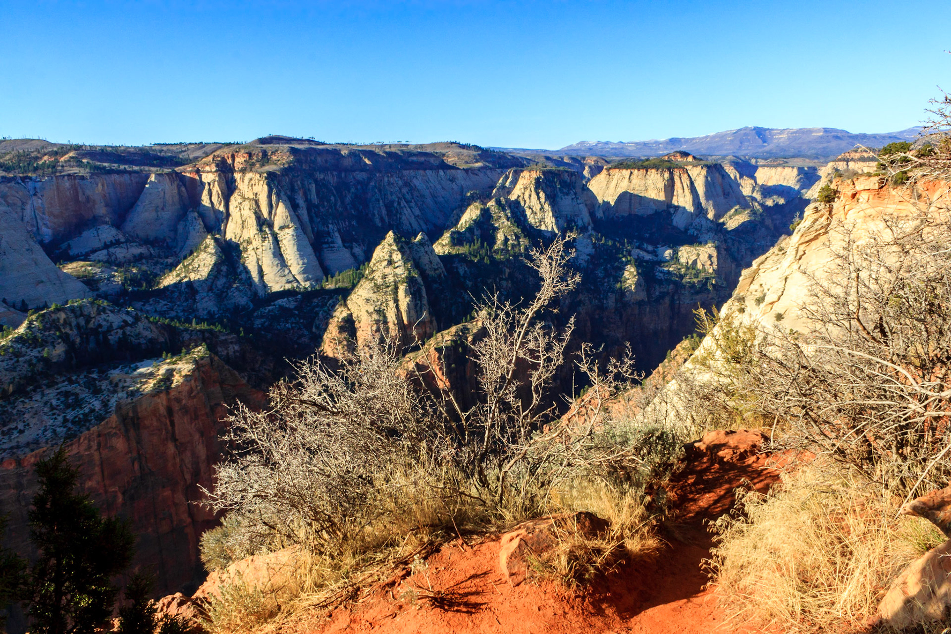 View looking north from Observation Point. Included in the picture is The Pulpit, the West Rim Plateau, and the entrance to The Narrows.