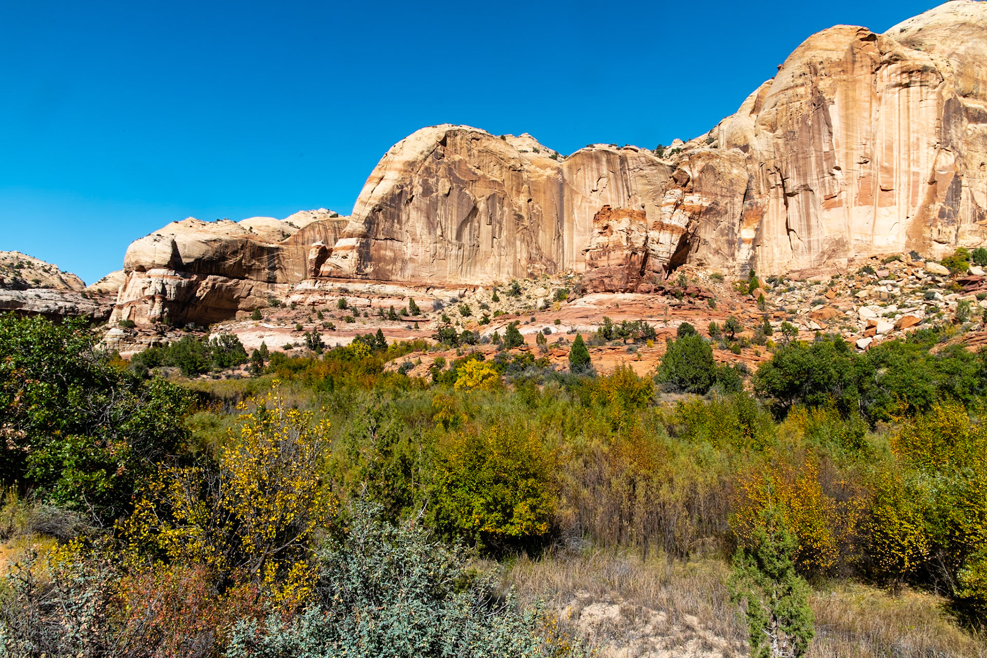Lower Calf Creek Canyon