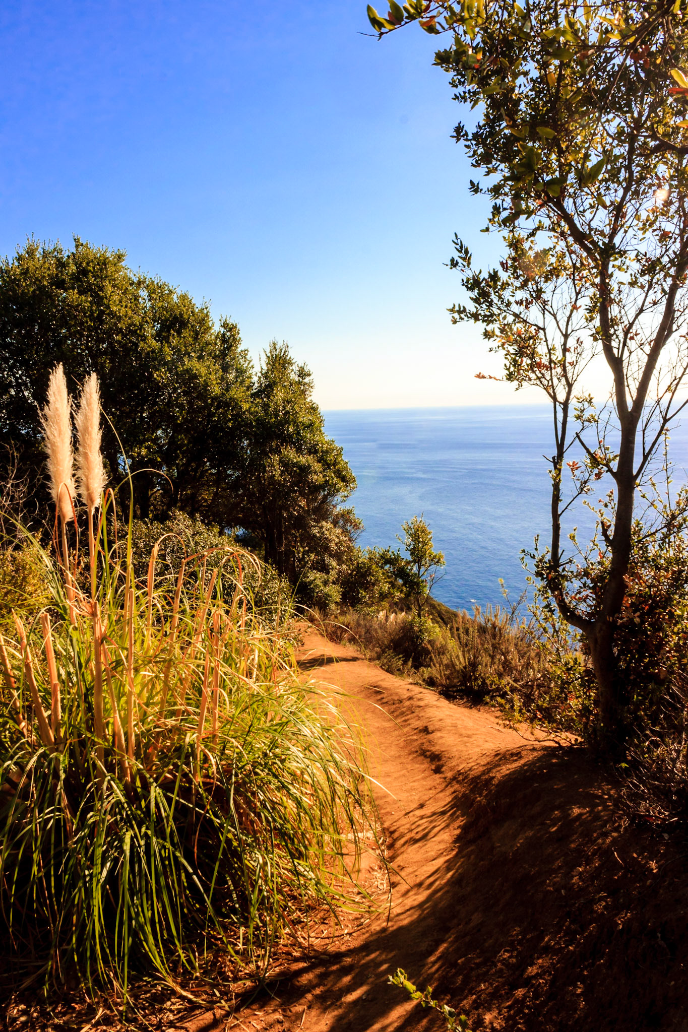 Lookout Trail