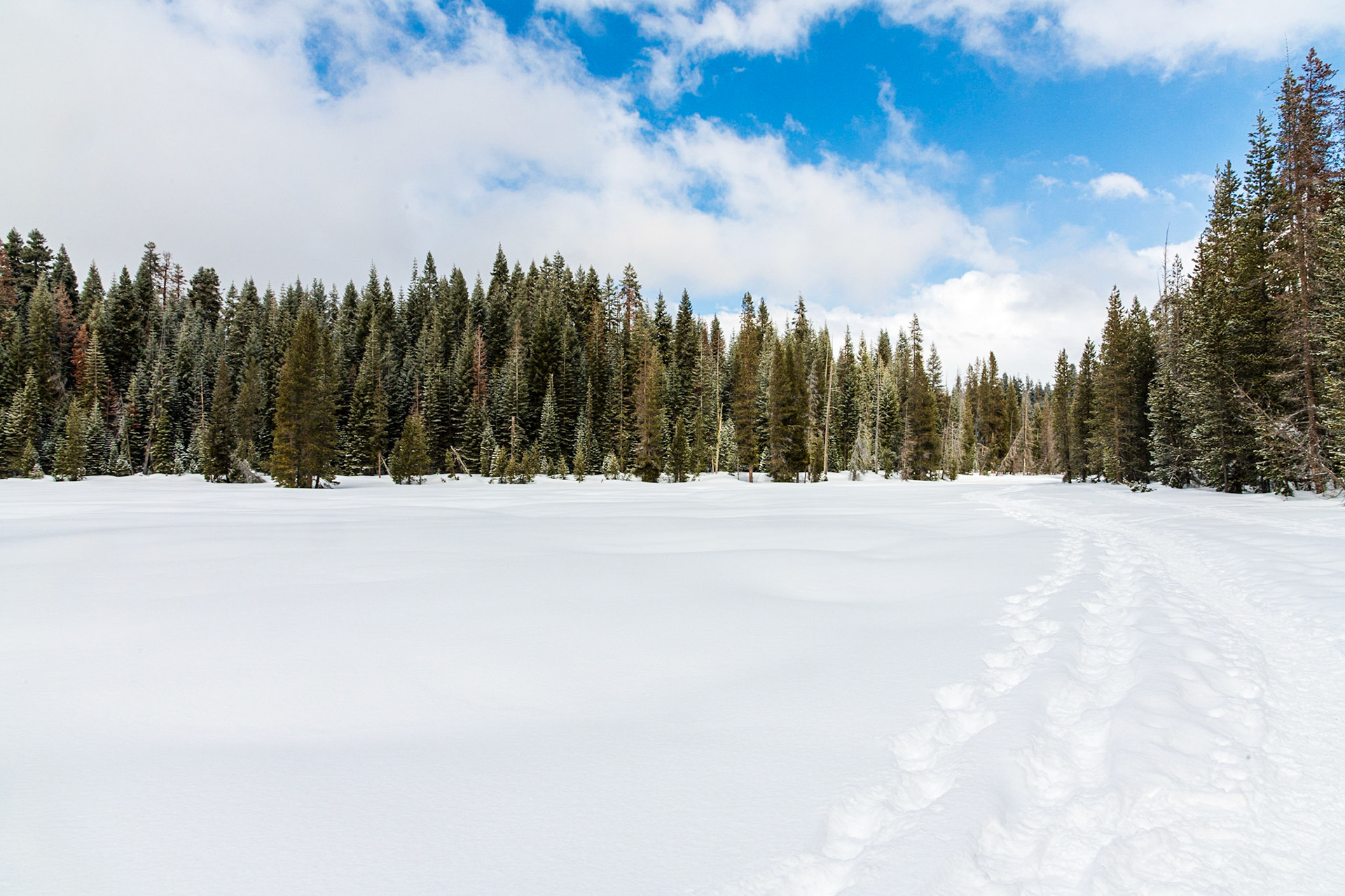 Dewey Point Meadow Trail