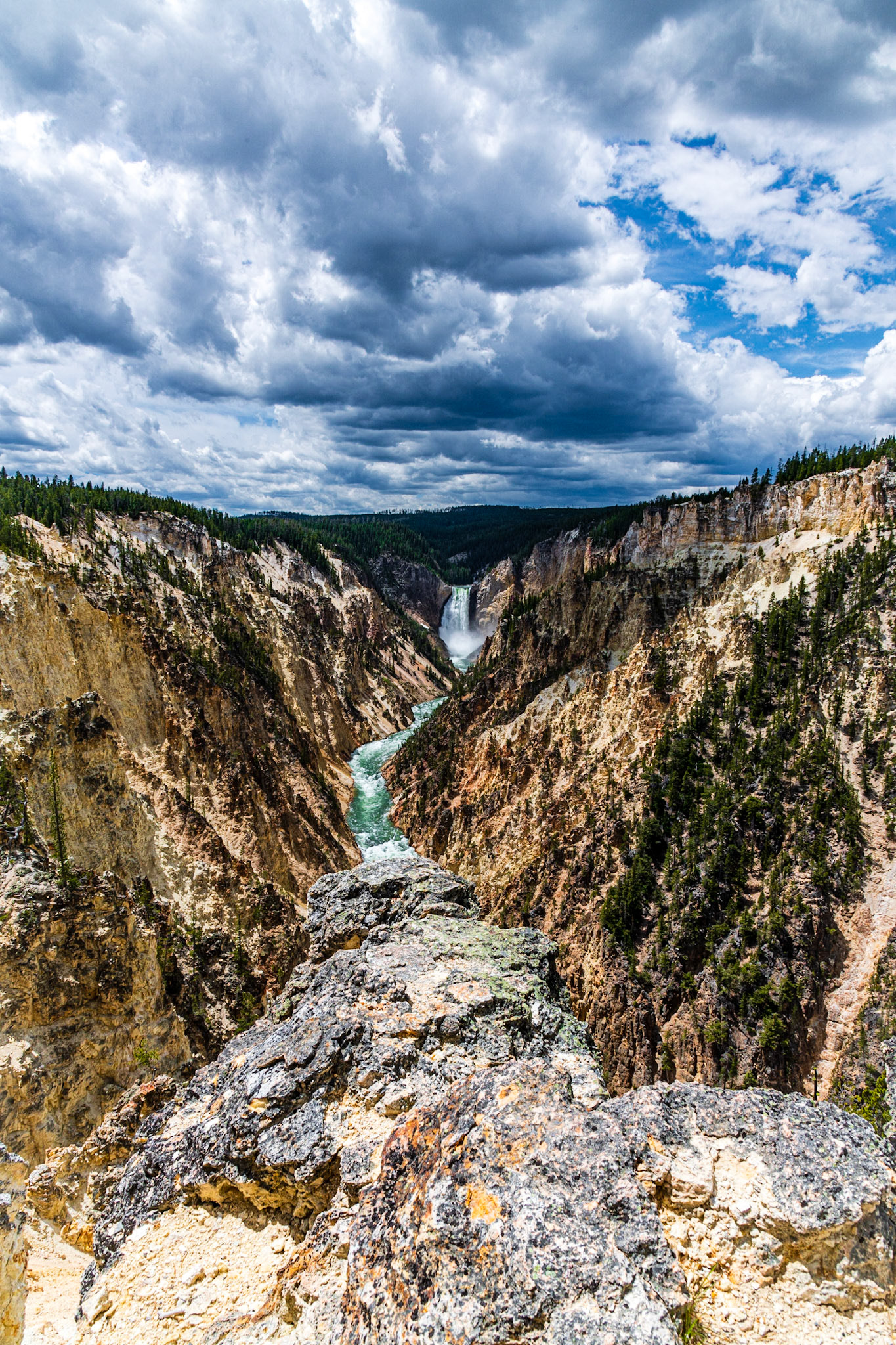 Lower Yellowstone Falls