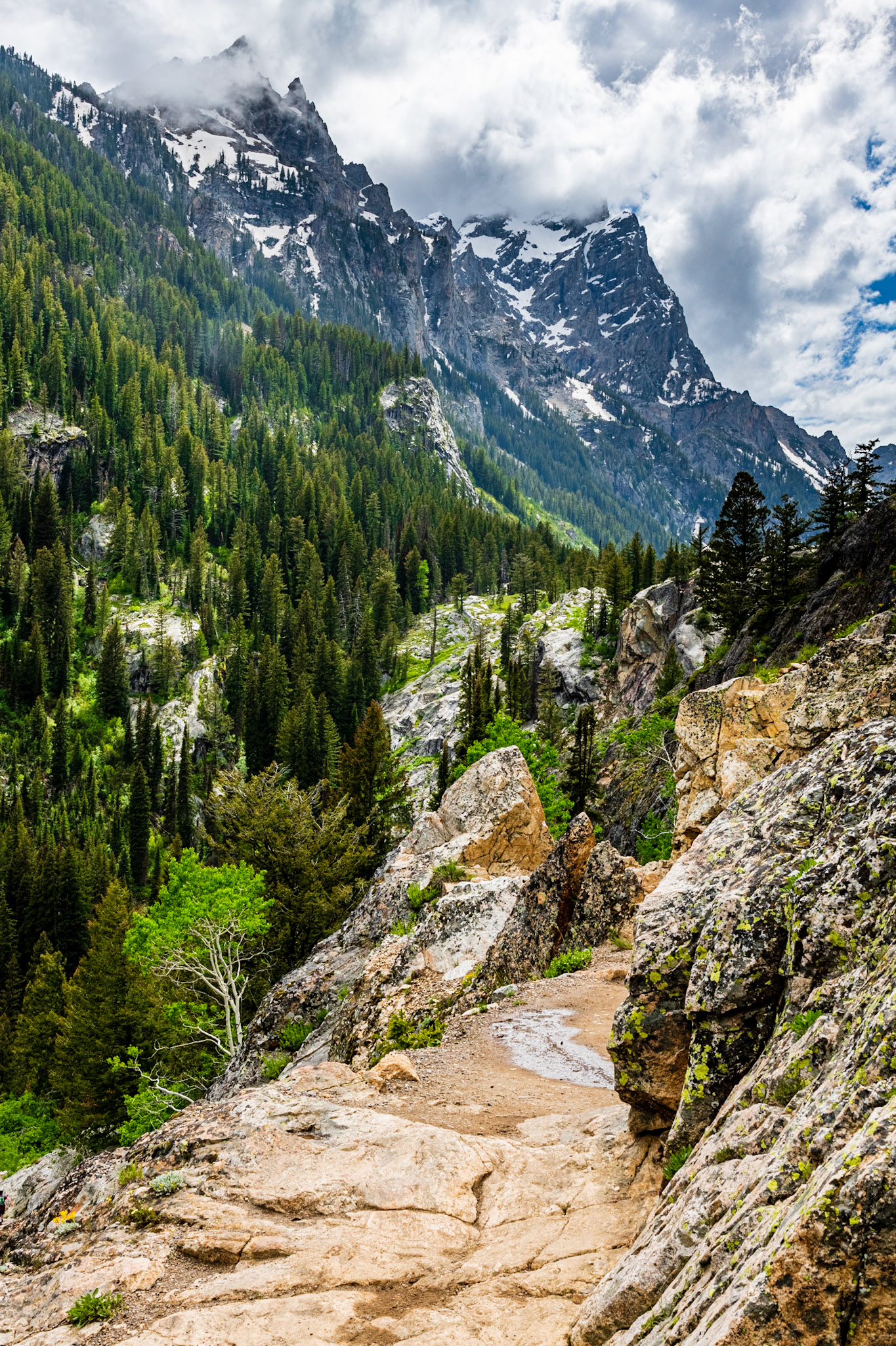 Cascade Canyon