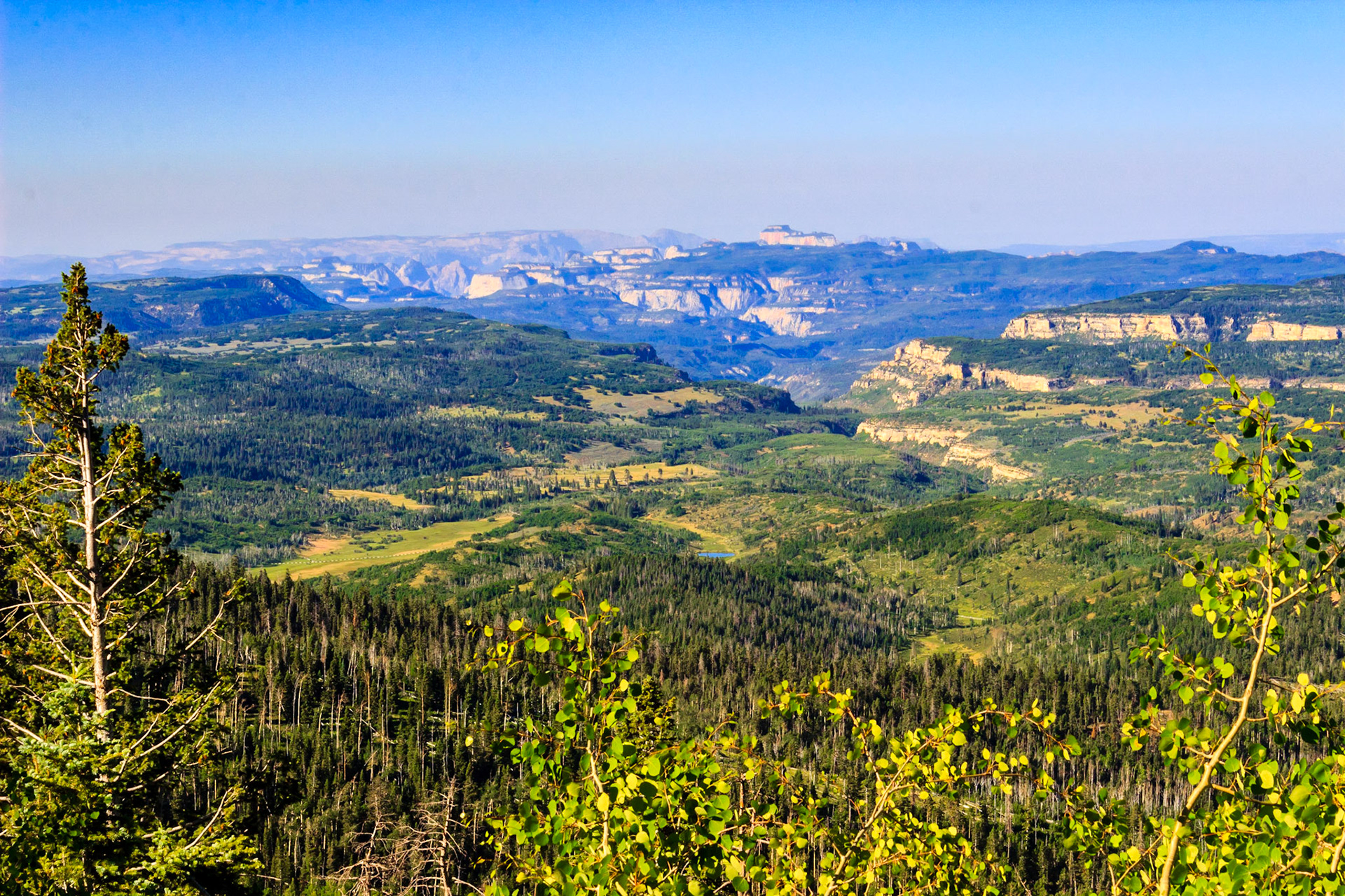 Looking Towards Zion National Park