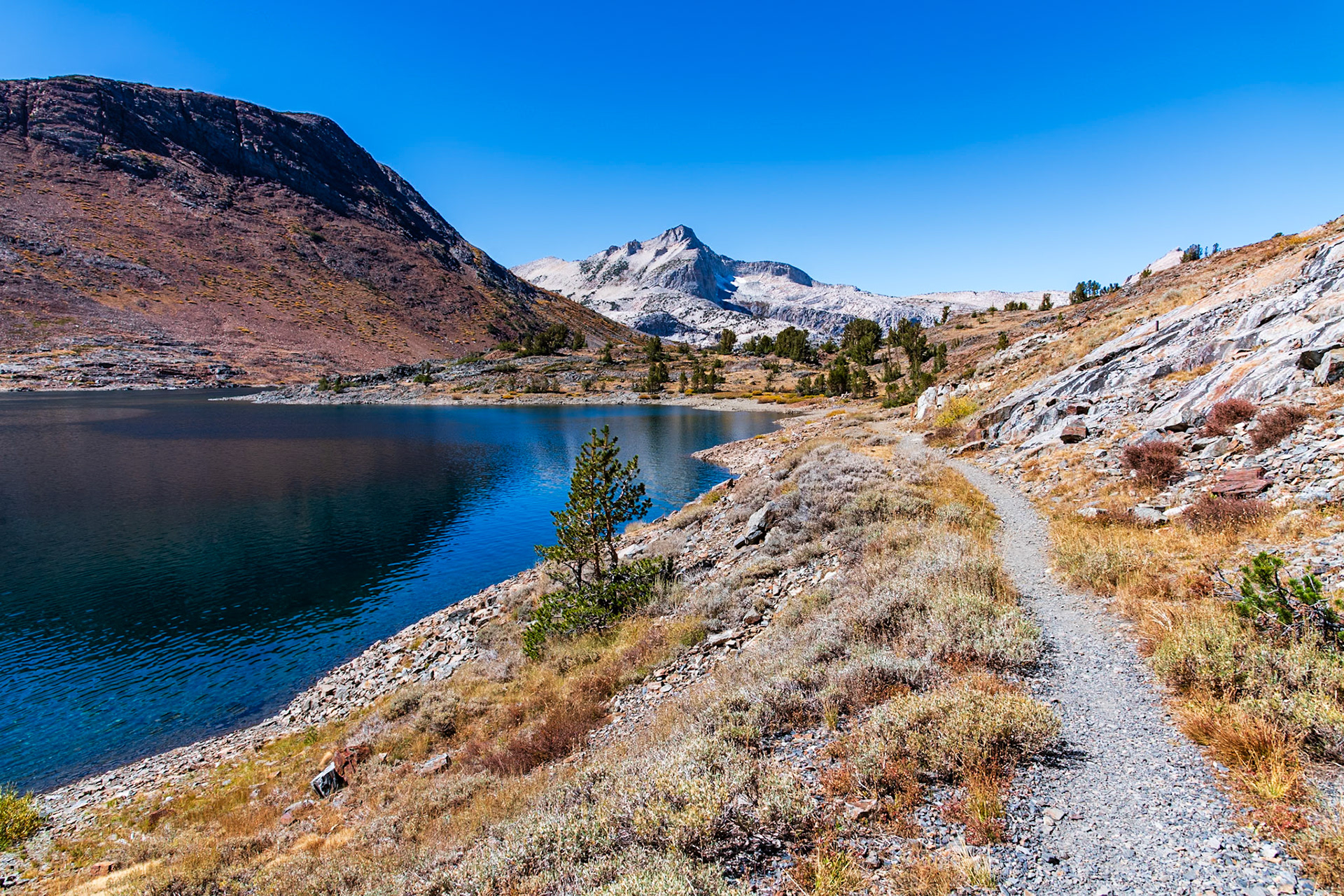 On the Saddlebag Lake loop trail.