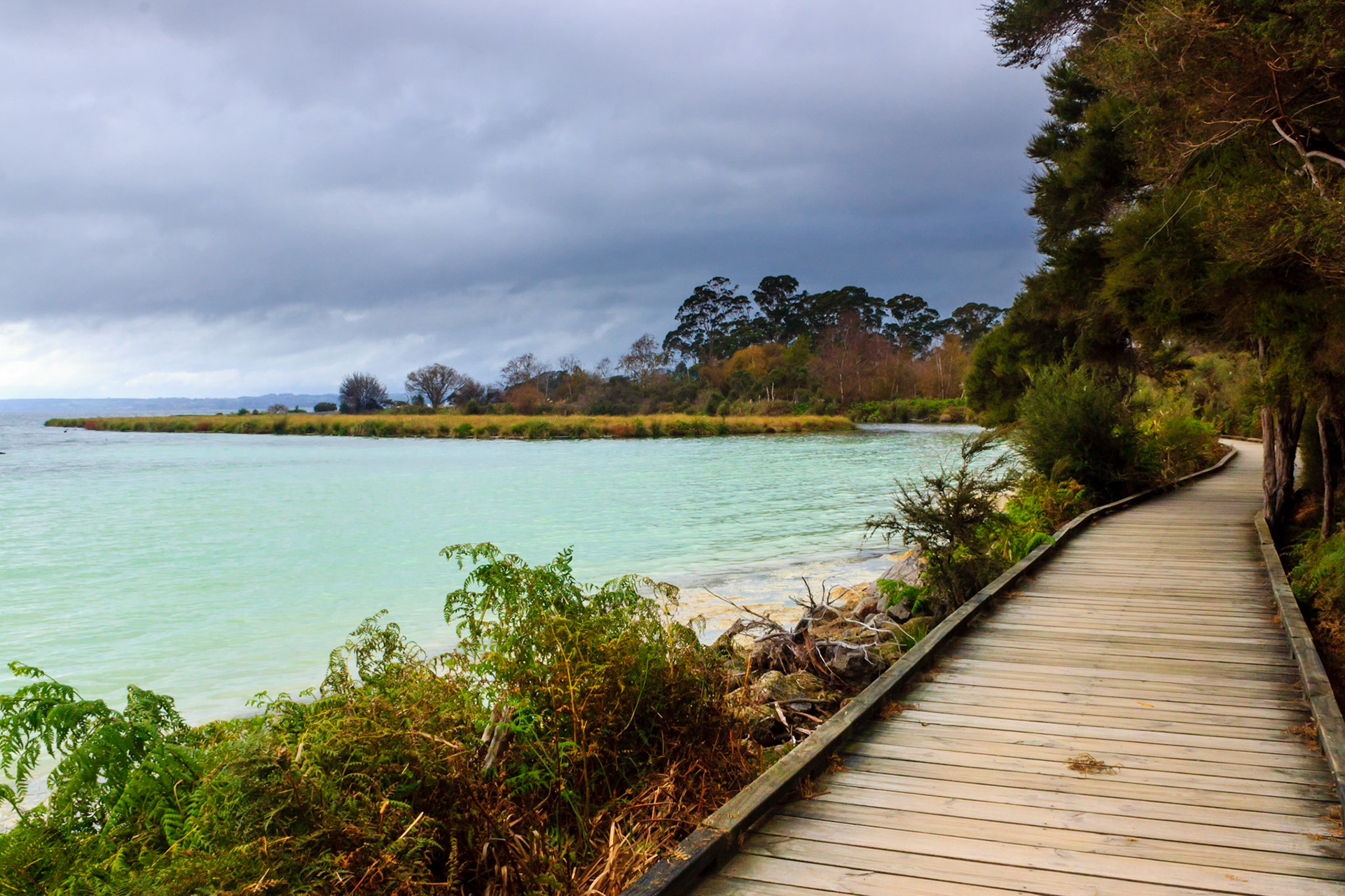 Lake Rotorua