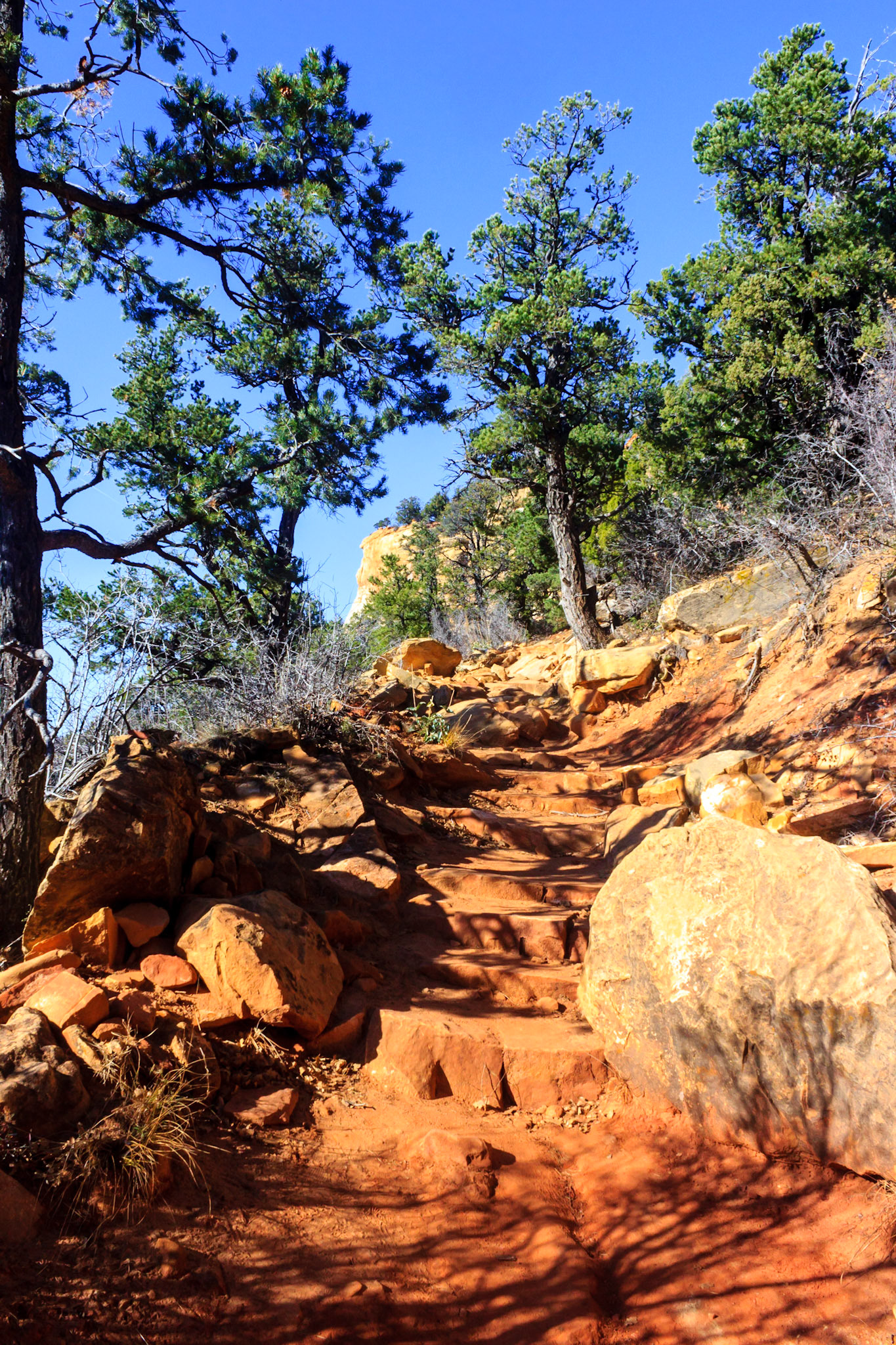 Observation Point Trail.