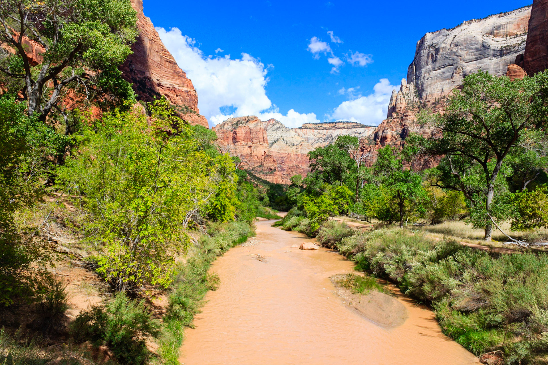 Virgin River with Angel's Landing and Observation Point