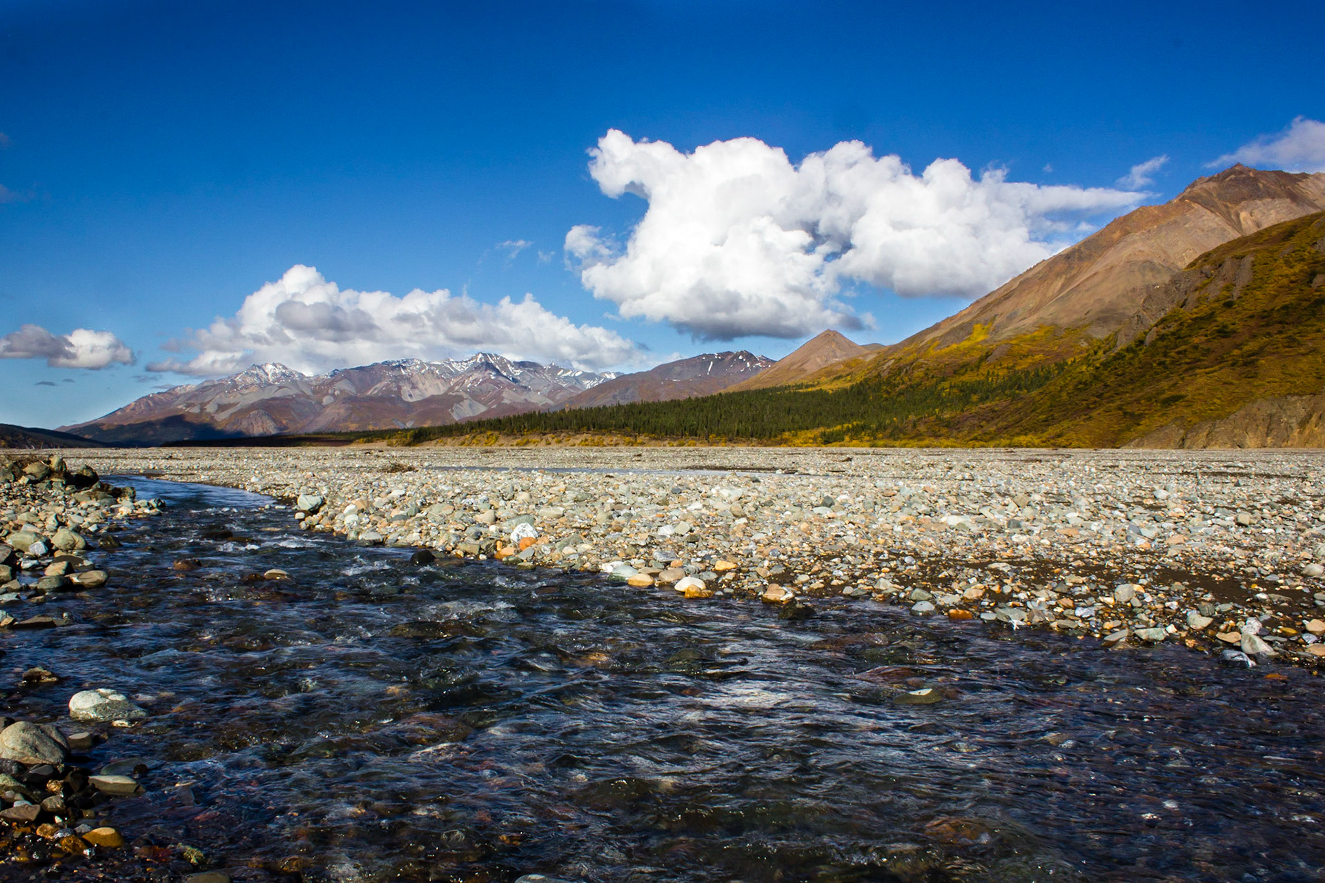 Toklat River