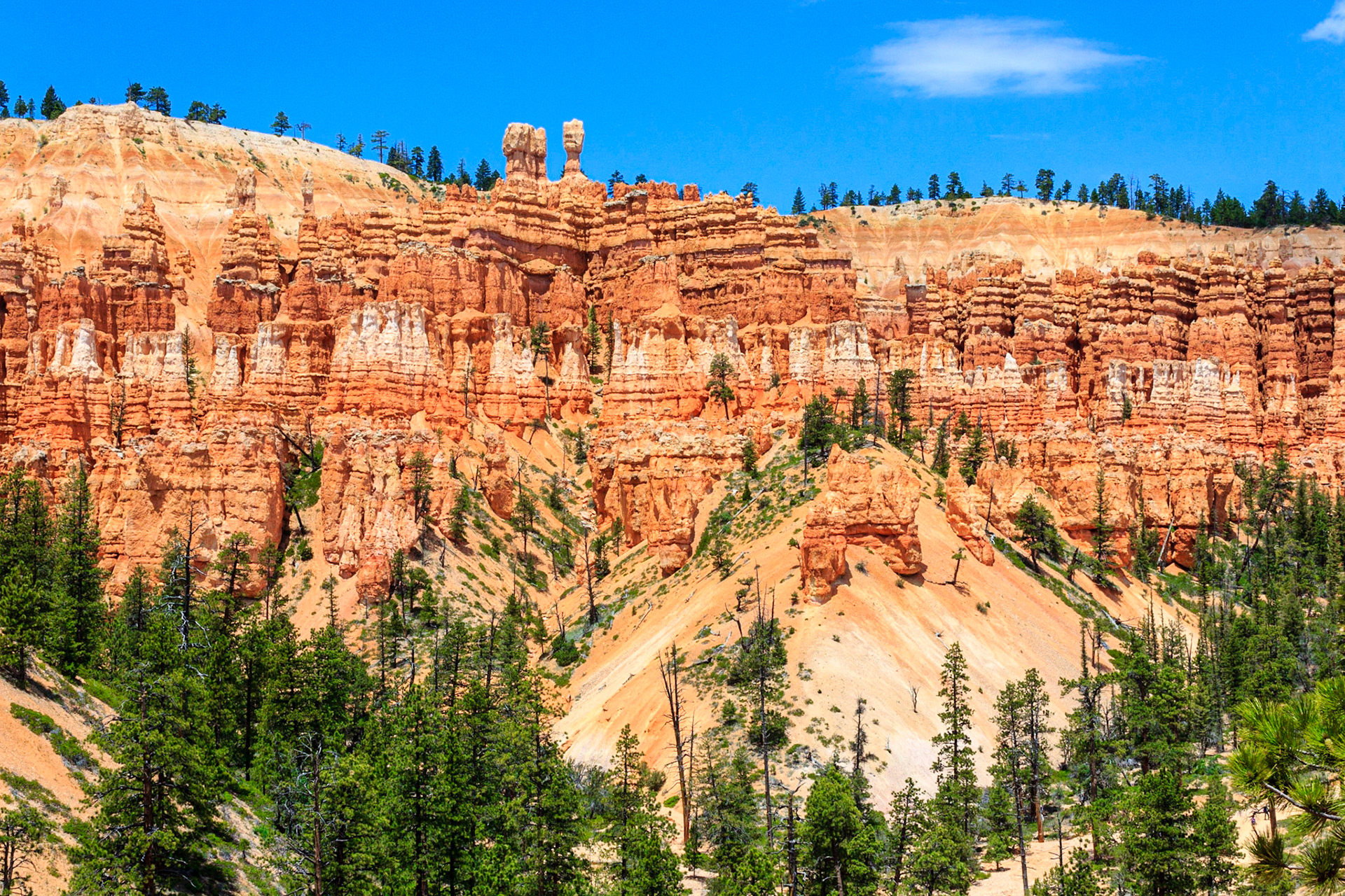 Bryce Ampitheater
