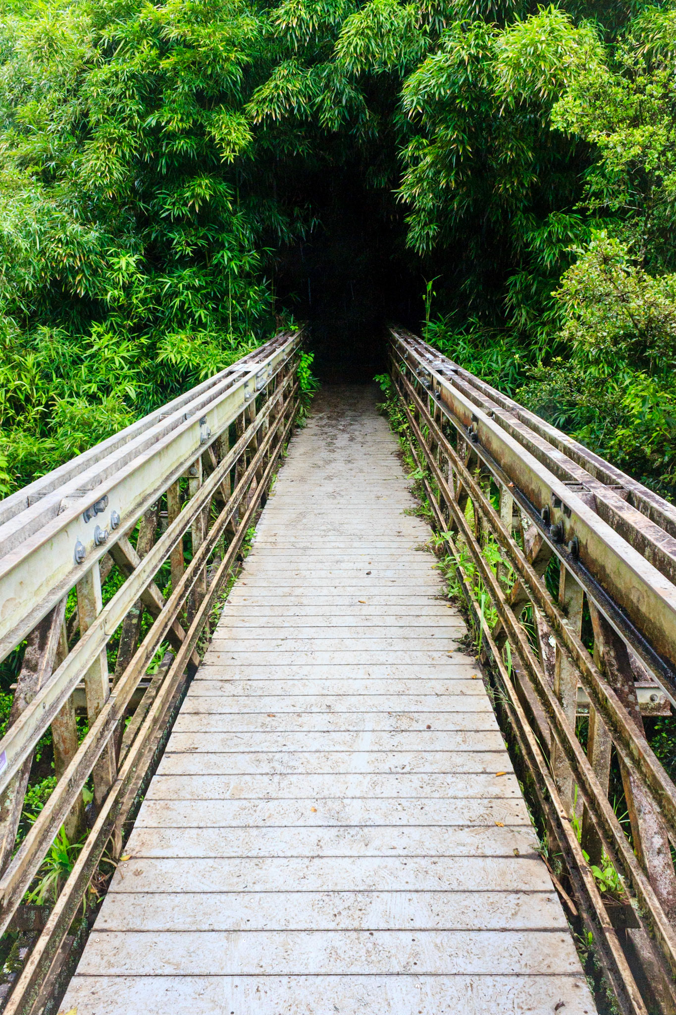Pipiwai Trail