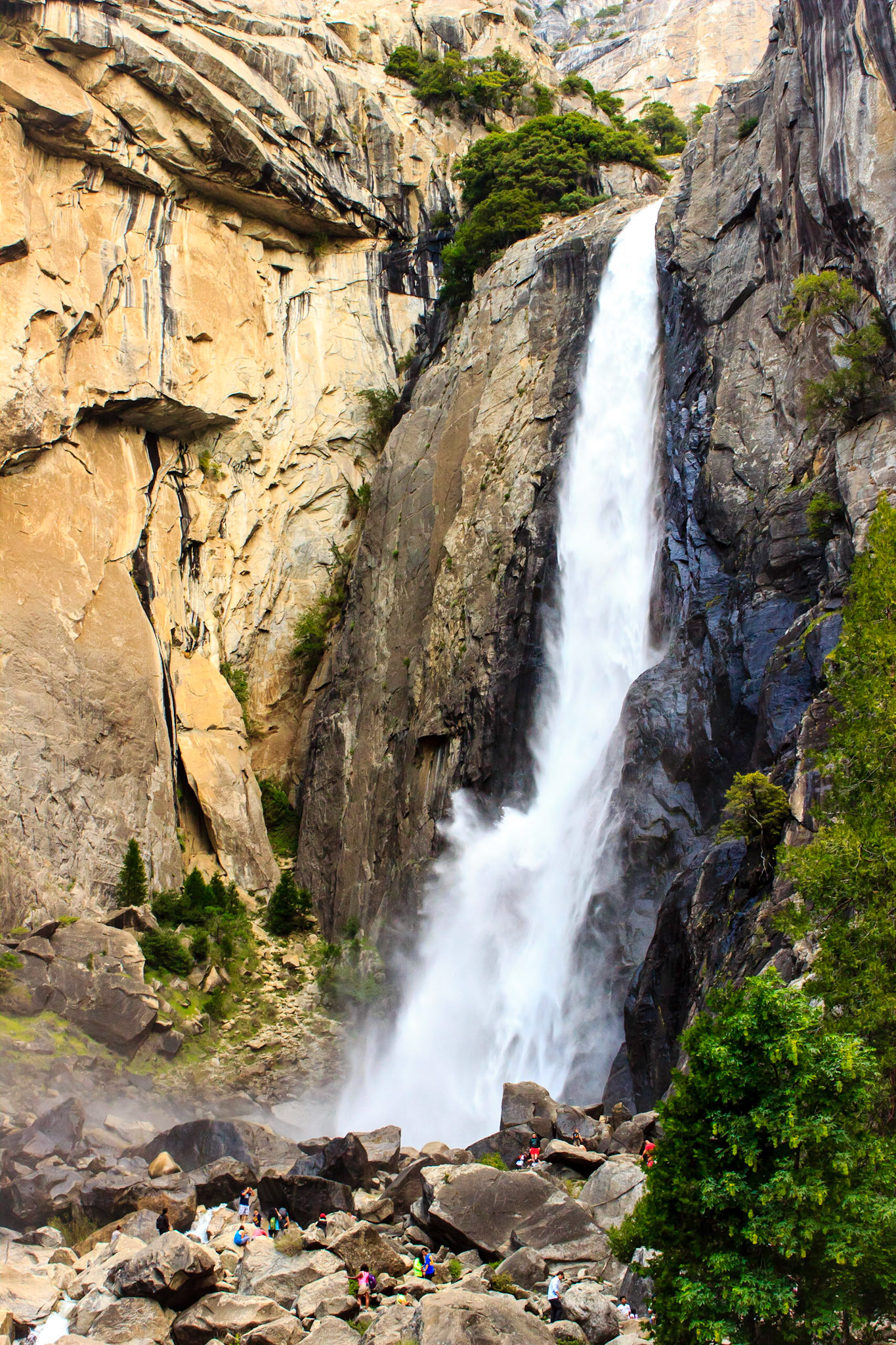 Lower Yosemite Falls