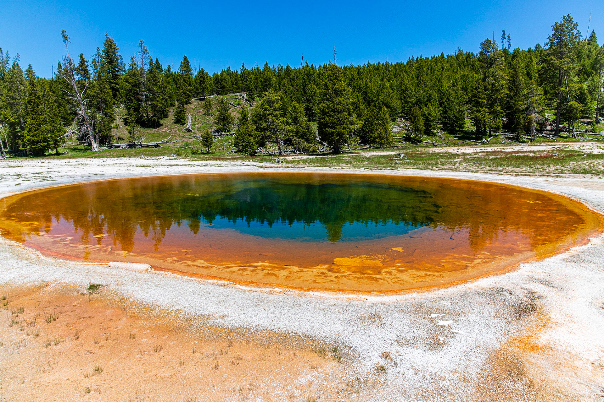 Upper Geyser Basin